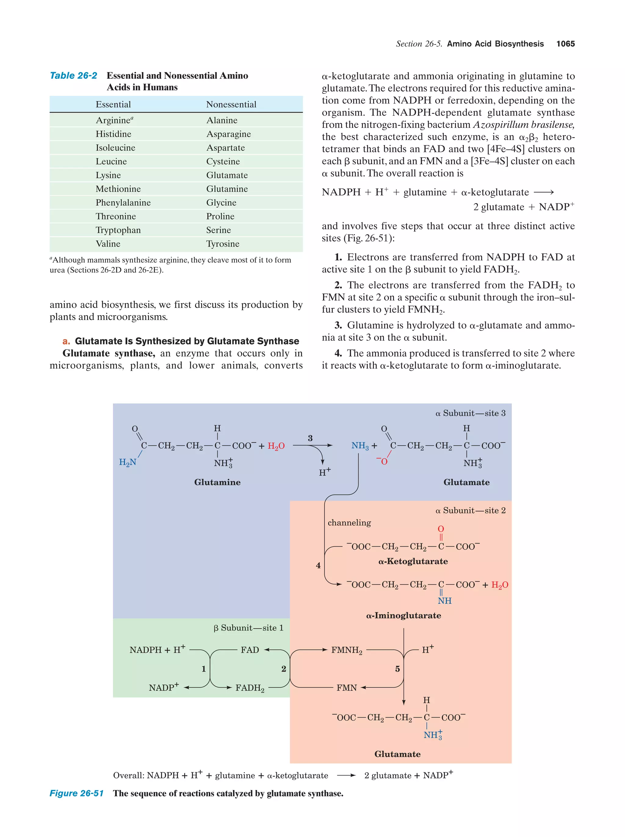 Biochemistry.4th.edition