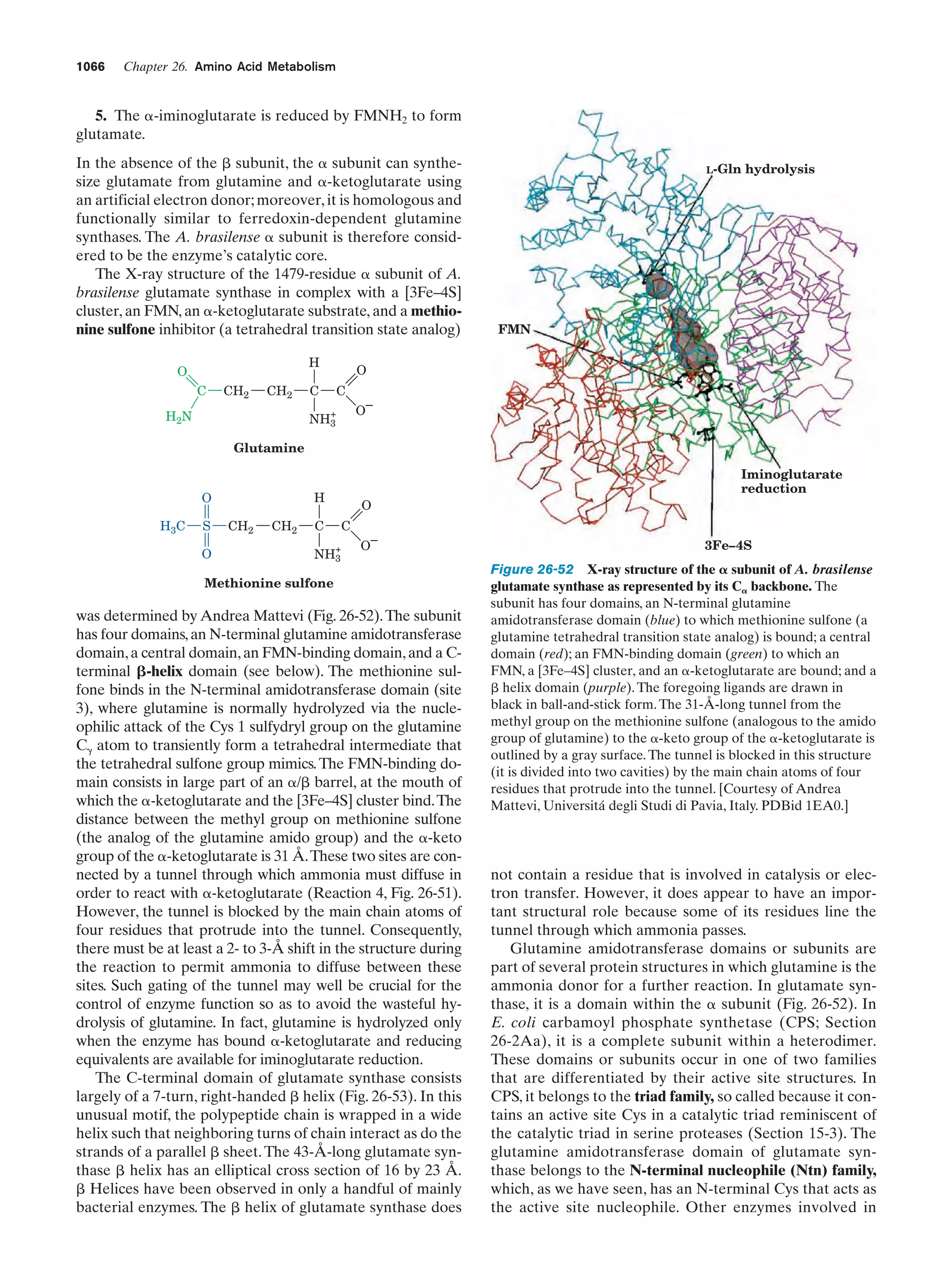 Biochemistry.4th.edition
