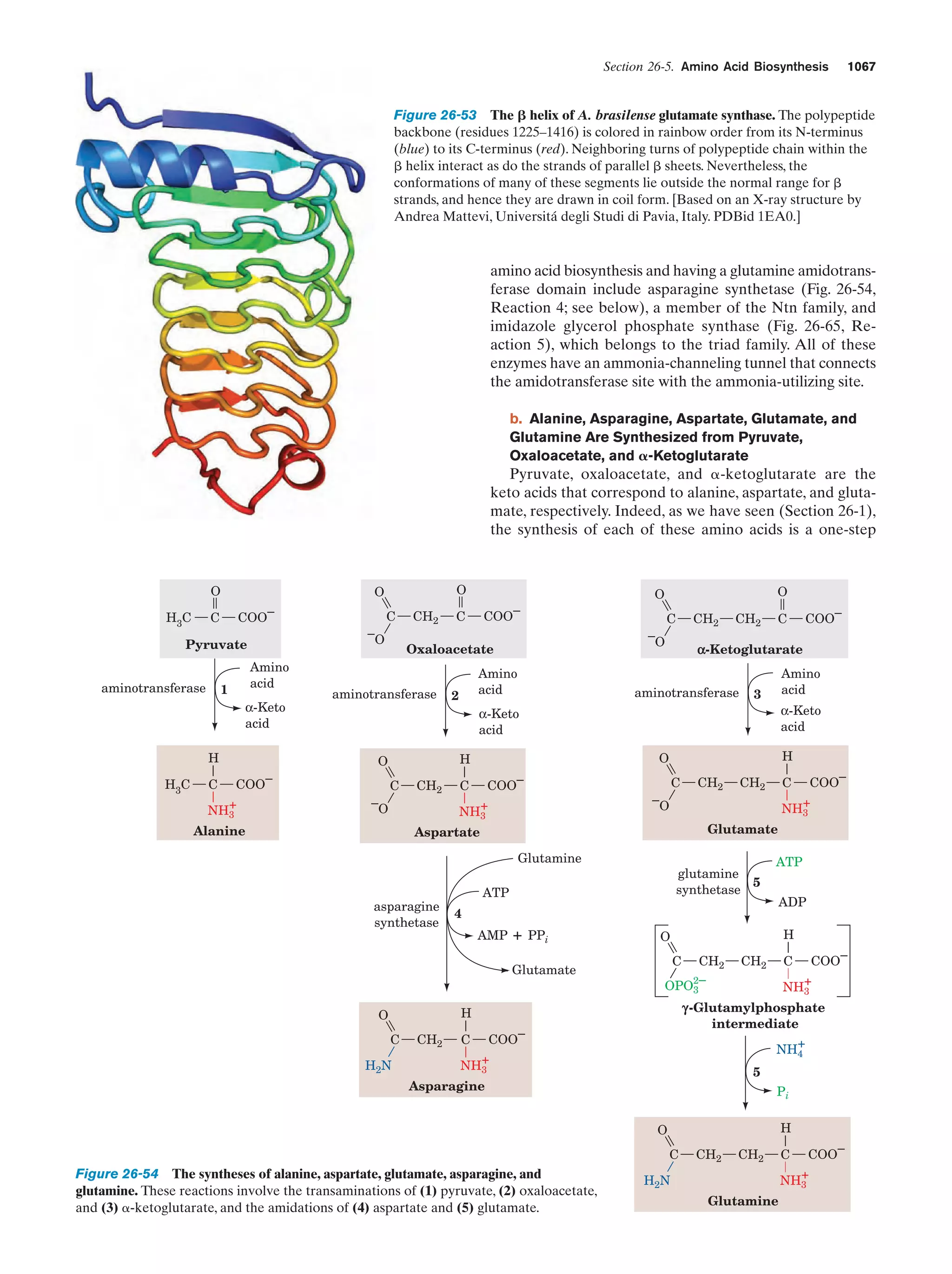 Biochemistry.4th.edition