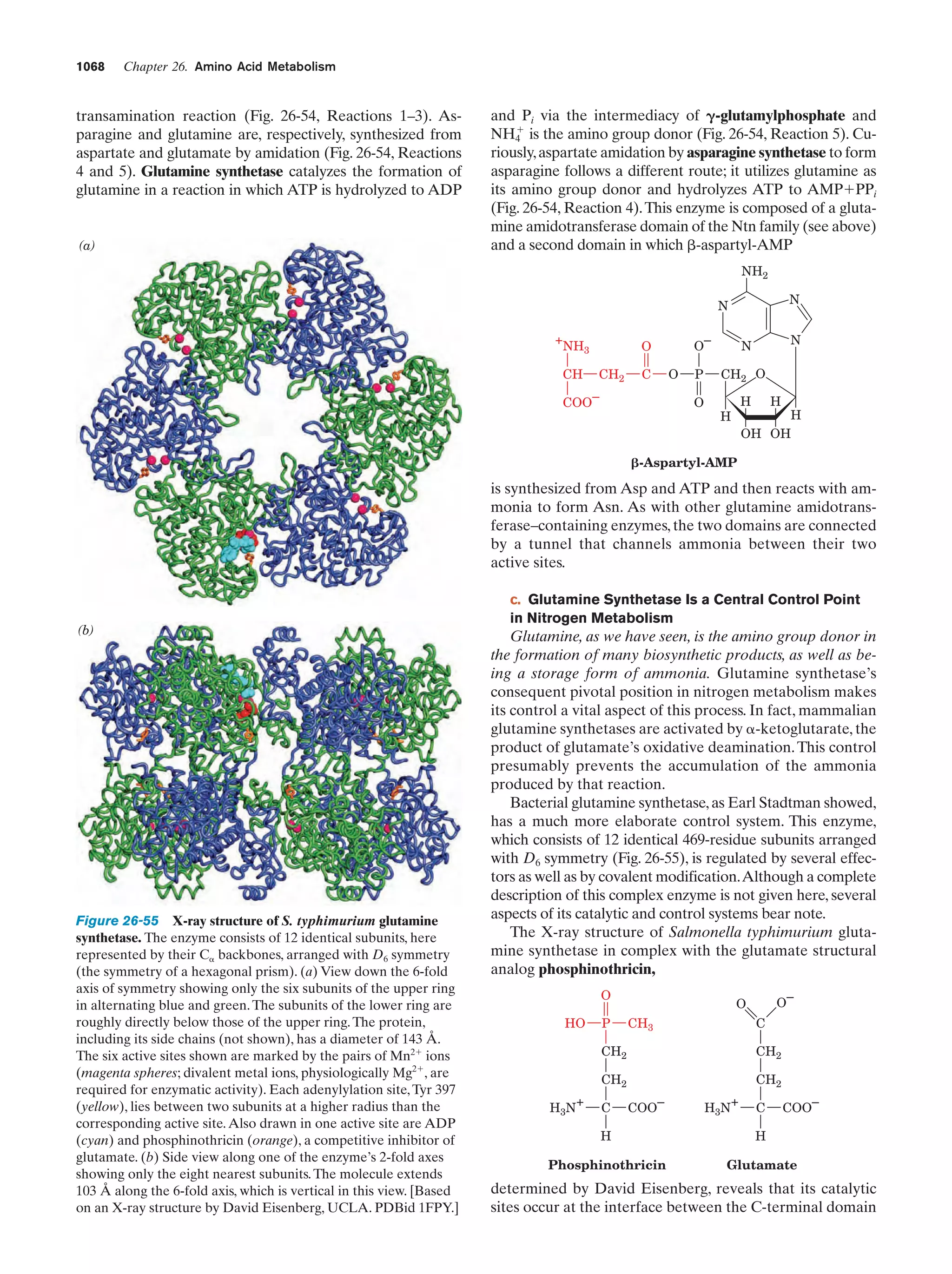 Biochemistry.4th.edition