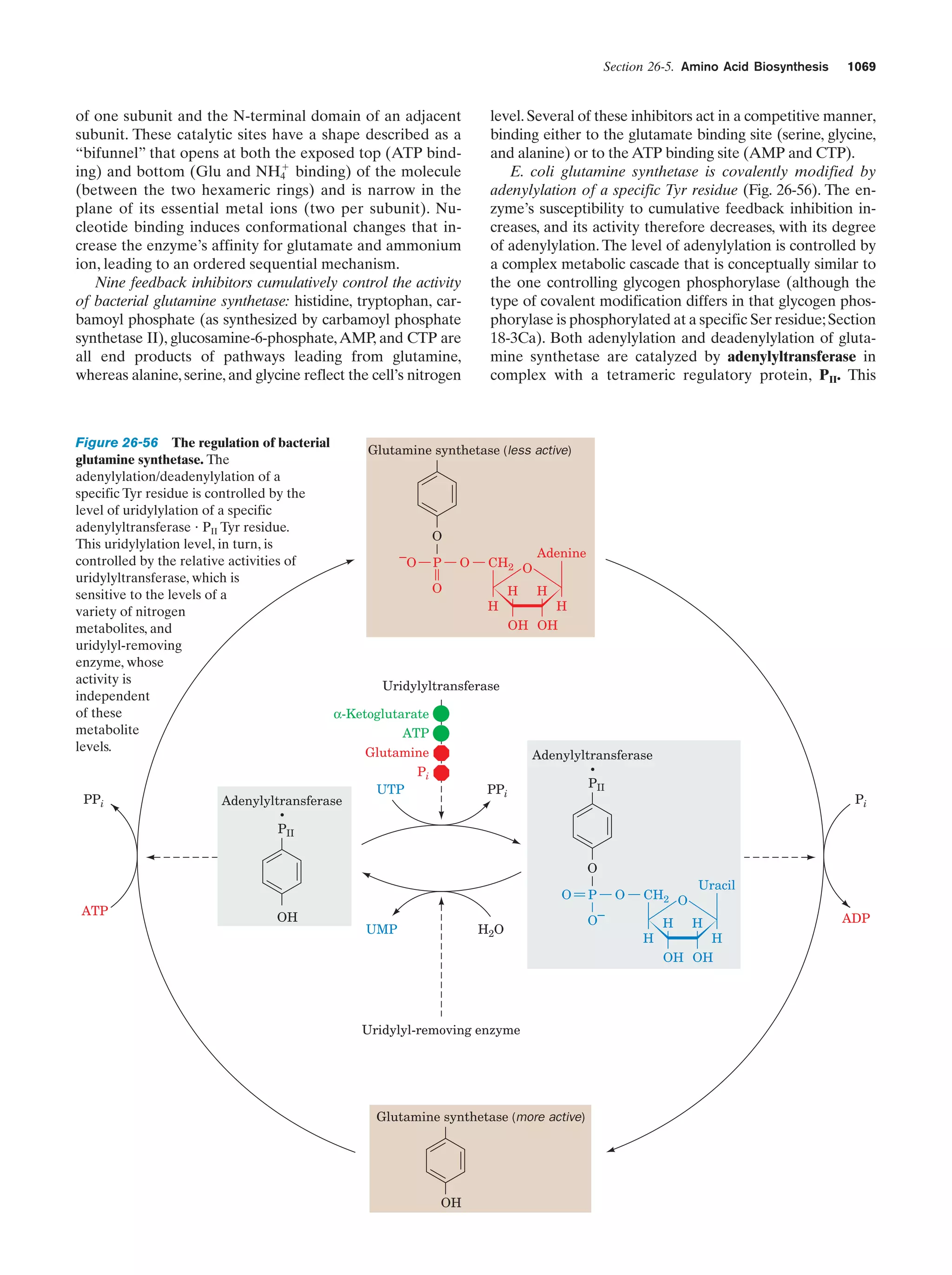 Biochemistry.4th.edition