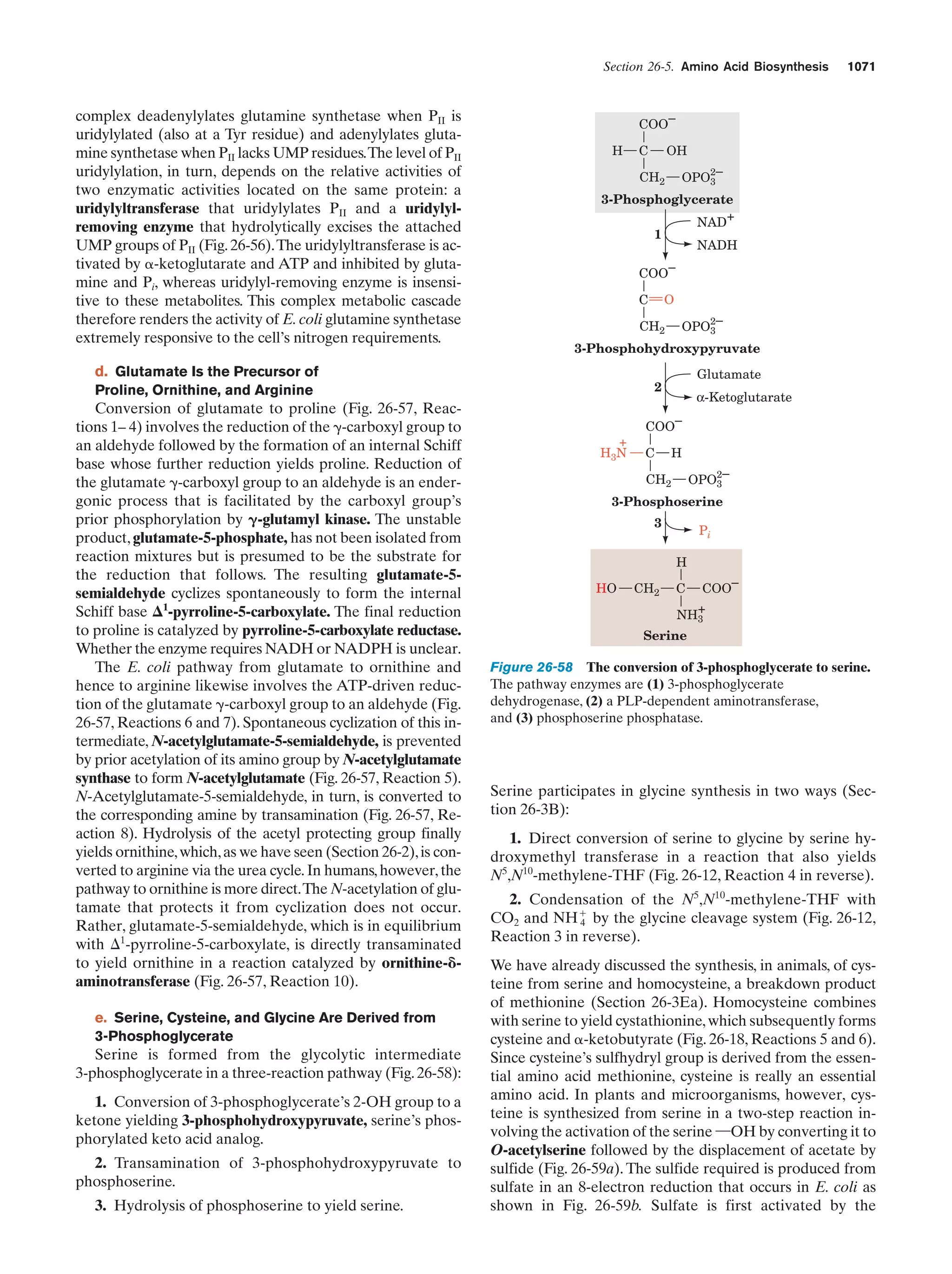 Biochemistry.4th.edition