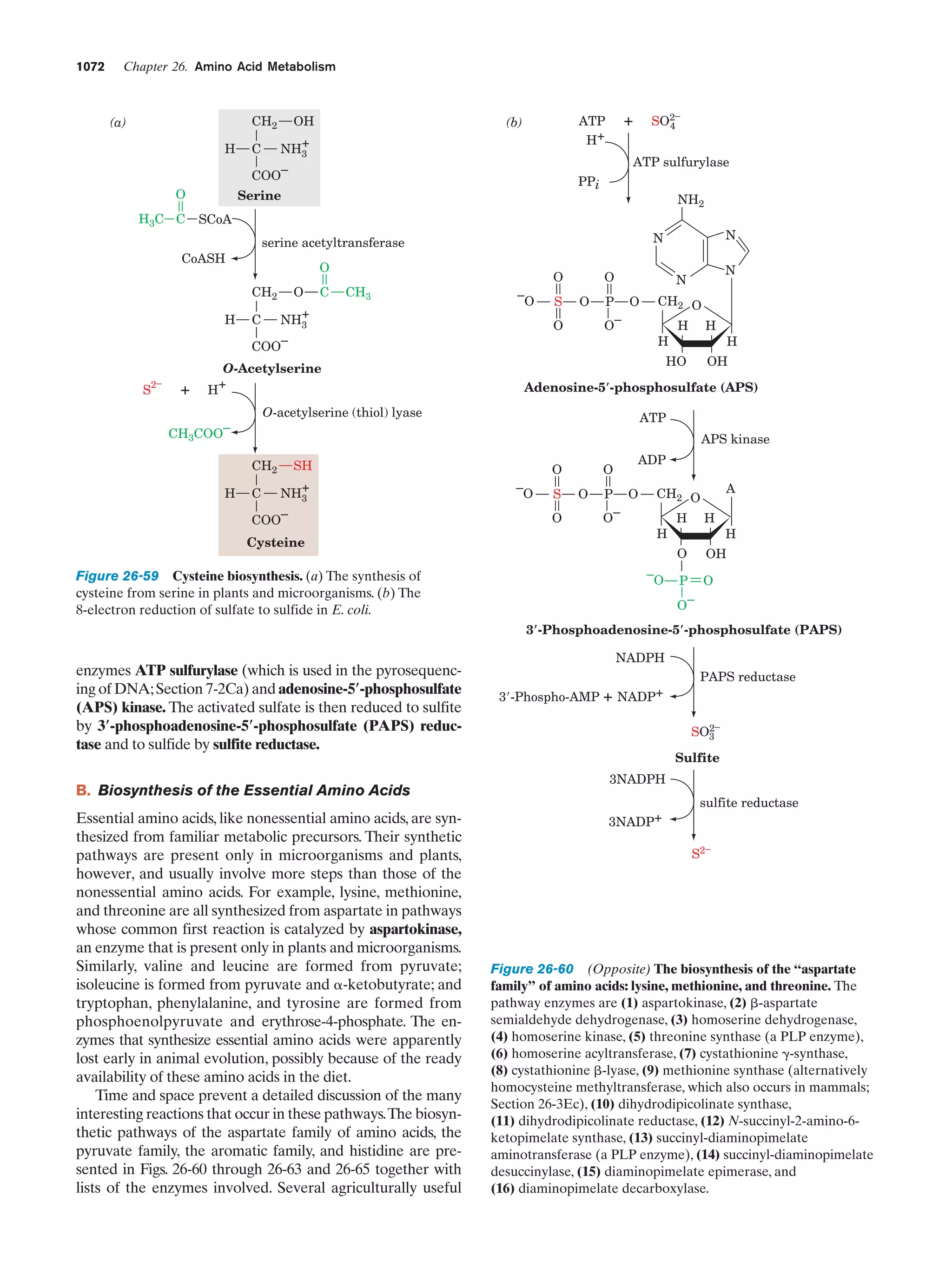 Biochemistry.4th.edition