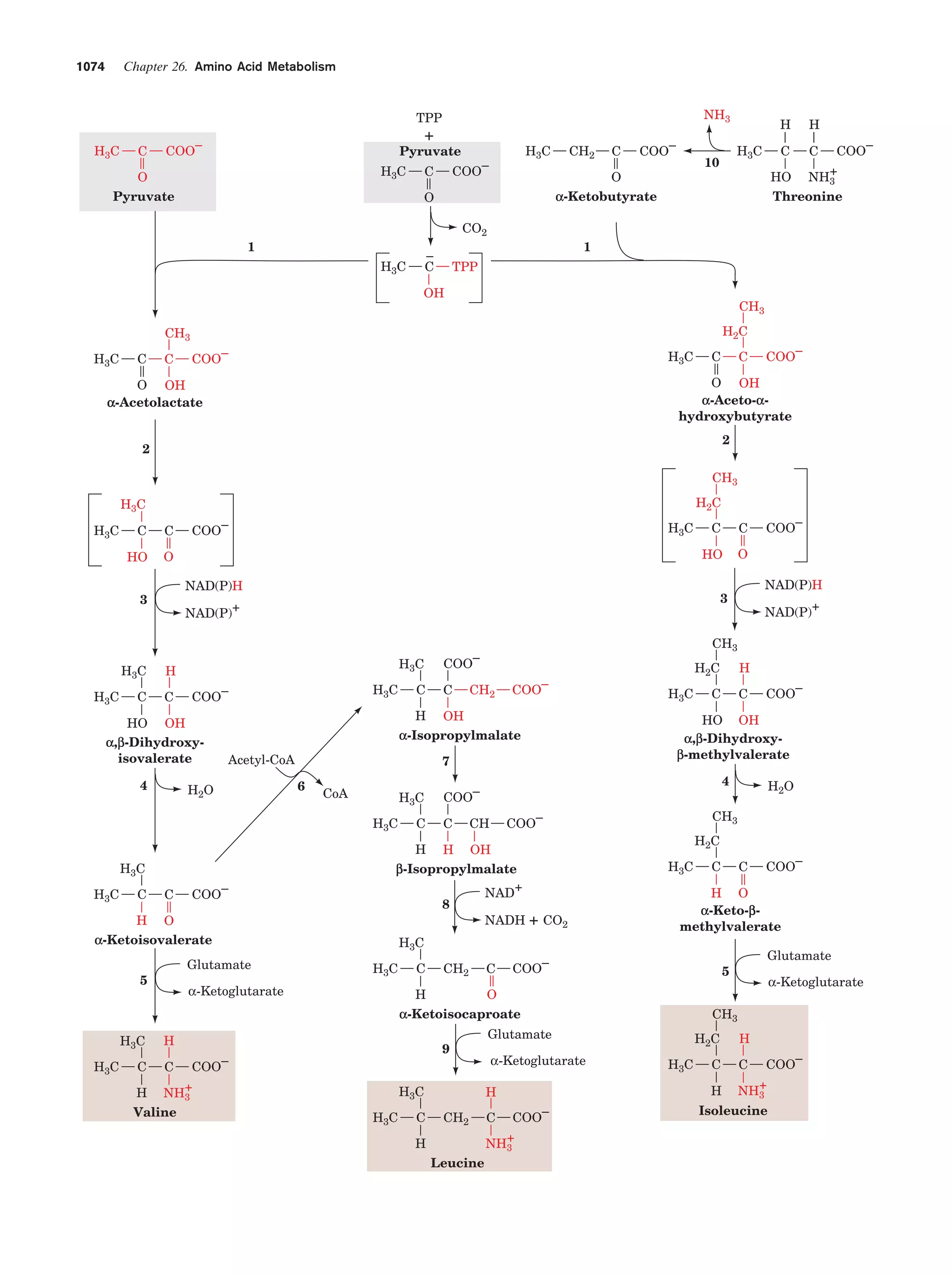 Biochemistry.4th.edition