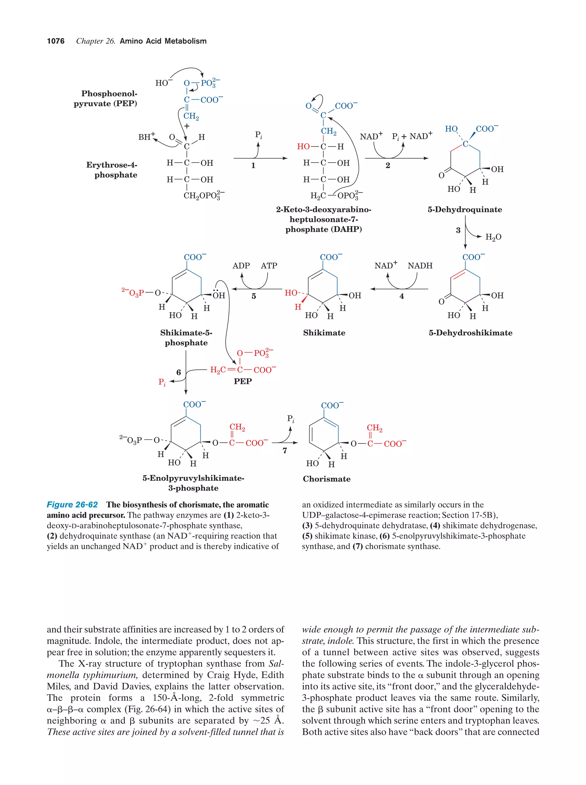 Biochemistry.4th.edition