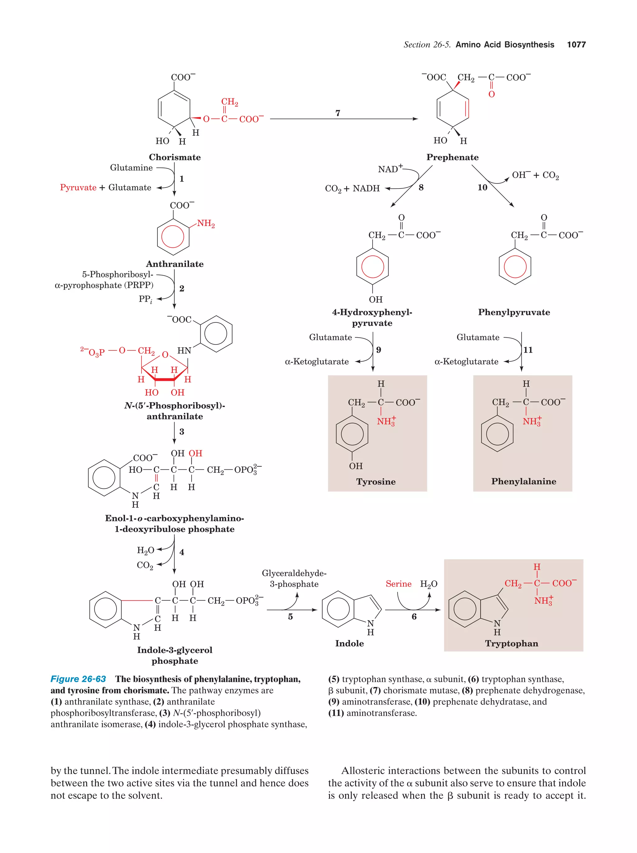 Biochemistry.4th.edition