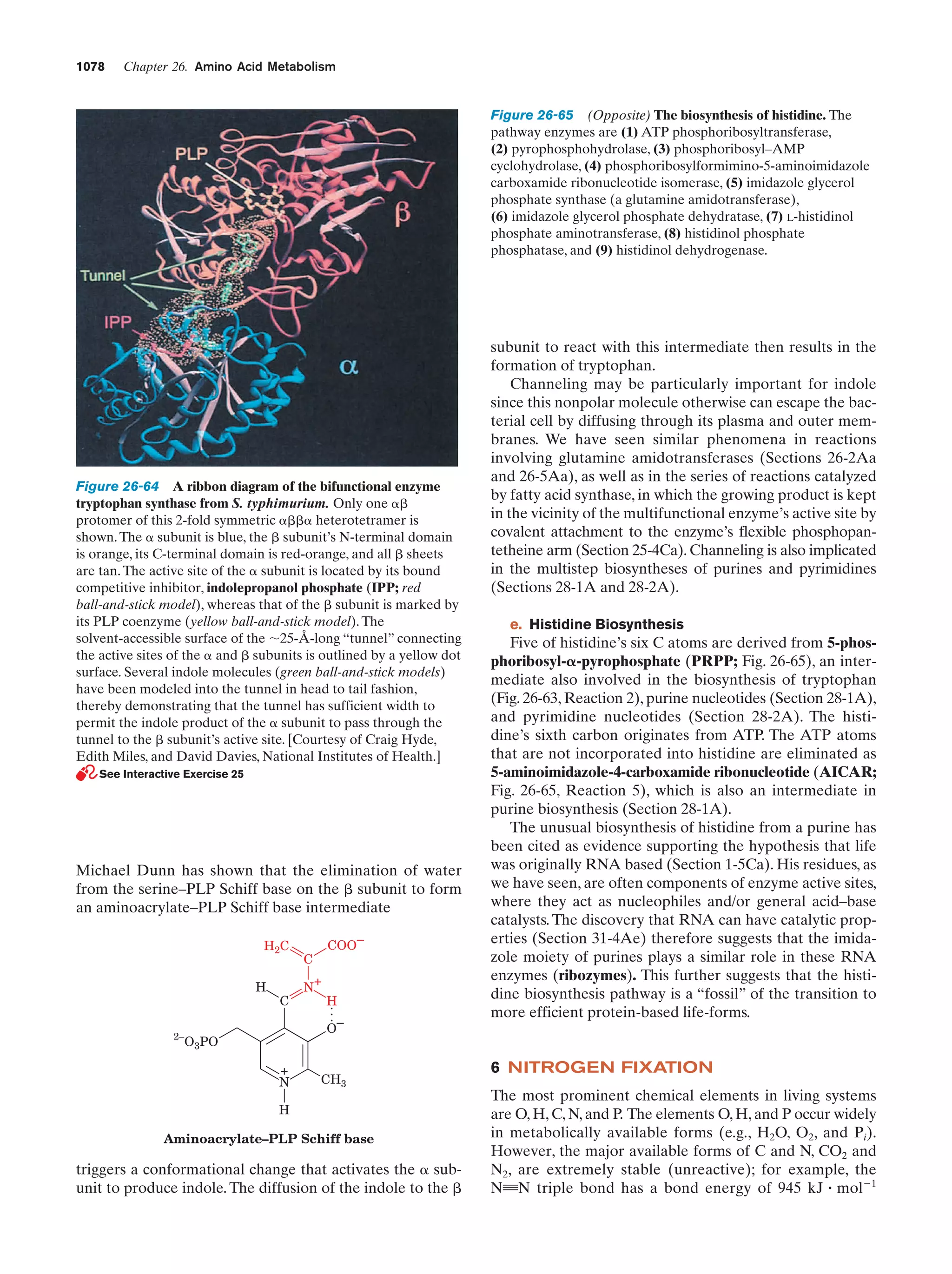 Biochemistry.4th.edition