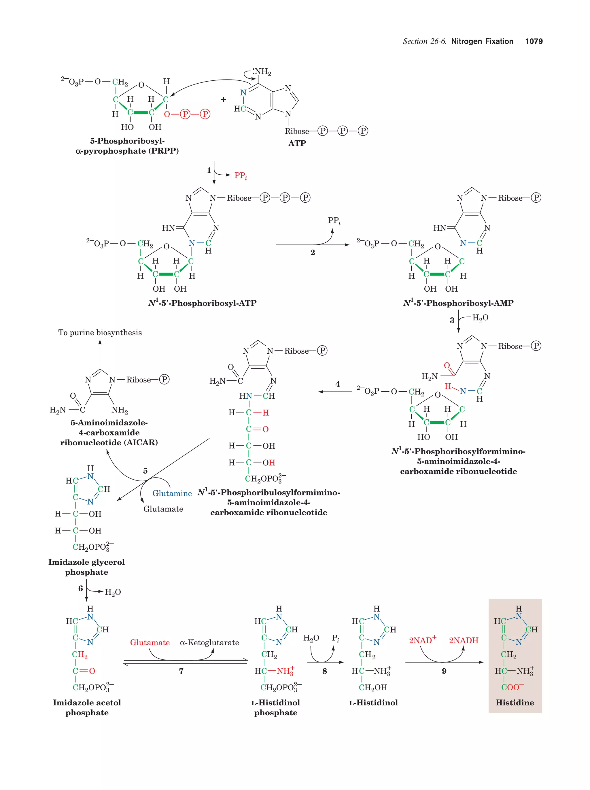 Biochemistry.4th.edition