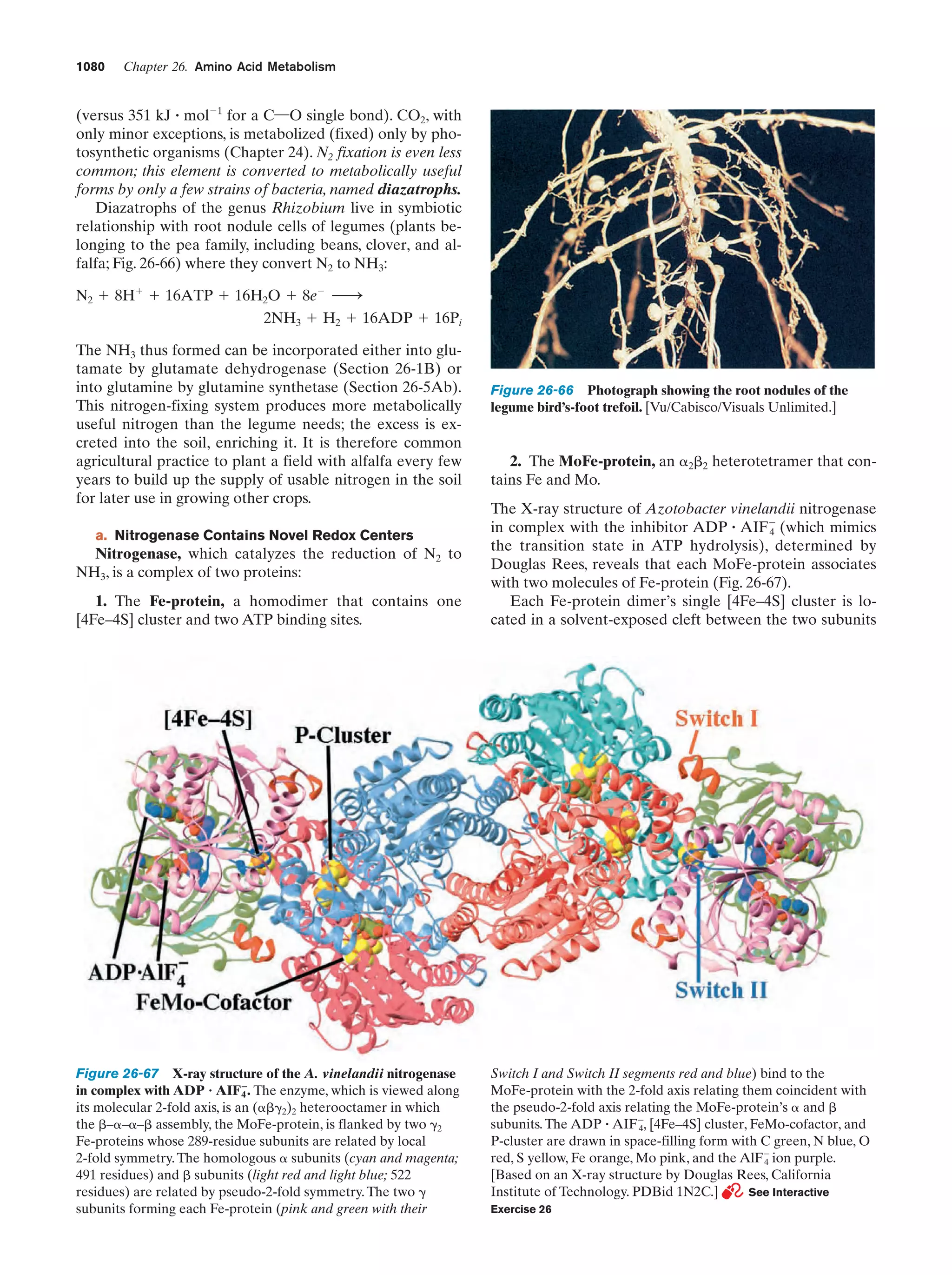 Biochemistry.4th.edition