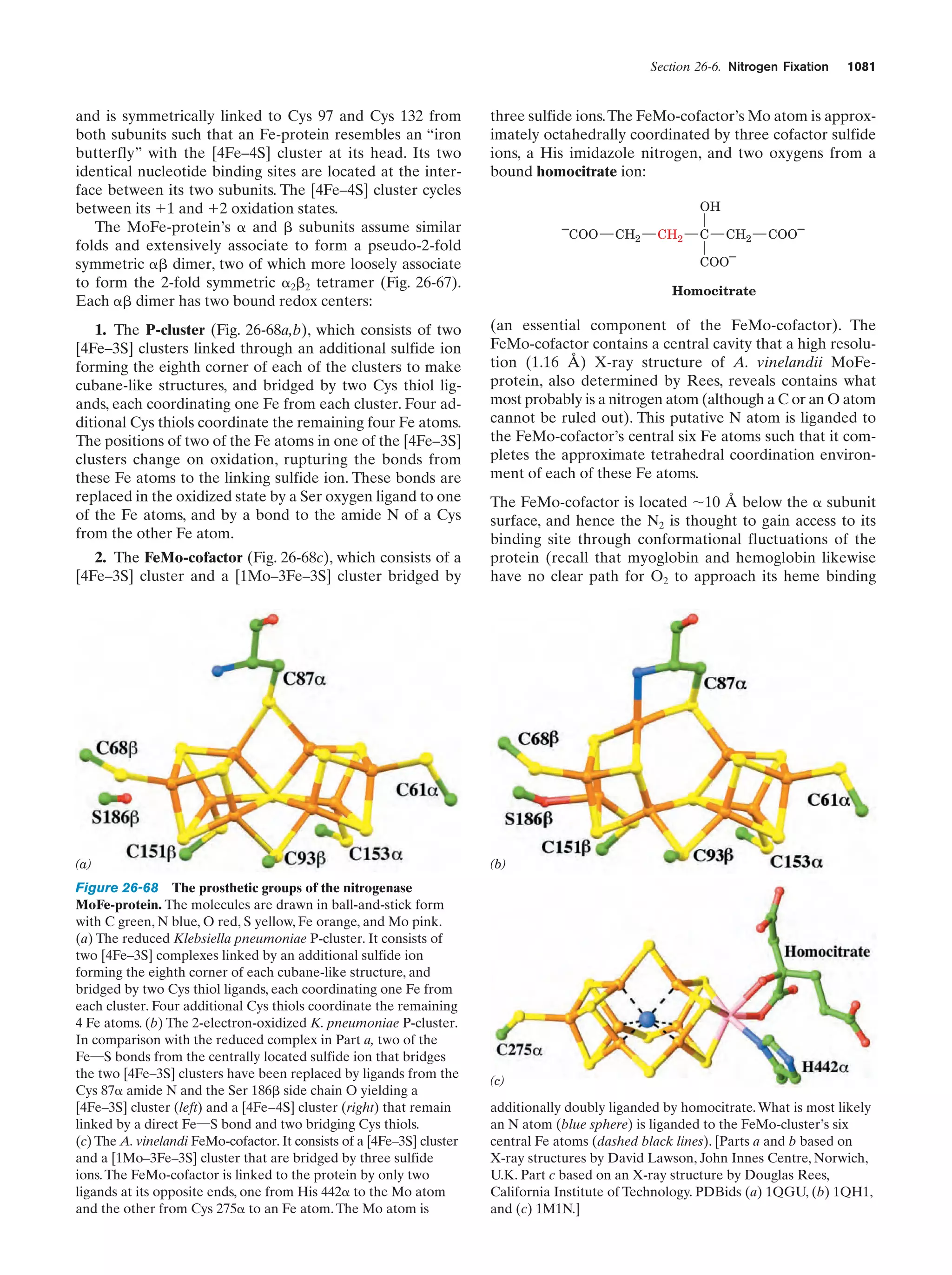 Biochemistry.4th.edition