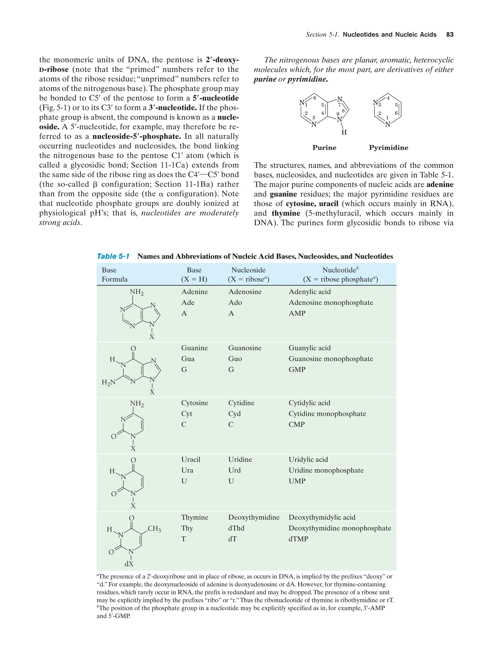 Section 5-1. Nucleotides and Nucleic Acids

the monomeric units of DNA, the pentose is 2؅-deoxyD-ribose (note that the “primed” numbers refer to the
atoms of the ribose residue; “unprimed” numbers refer to
atoms of the nitrogenous base). The phosphate group may
be bonded to C5¿ of the pentose to form a 5؅-nucleotide
(Fig. 5-1) or to its C3¿ to form a 3؅-nucleotide. If the phosphate group is absent, the compound is known as a nucleoside. A 5¿-nucleotide, for example, may therefore be referred to as a nucleoside-5؅-phosphate. In all naturally
occurring nucleotides and nucleosides, the bond linking
the nitrogenous base to the pentose C1¿ atom (which is
called a glycosidic bond; Section 11-1Ca) extends from
the same side of the ribose ring as does the C4¿¬C5¿ bond
(the so-called ␤ configuration; Section 11-1Ba) rather
than from the opposite side (the ␣ configuration). Note
that nucleotide phosphate groups are doubly ionized at
physiological pH’s; that is, nucleotides are moderately
strong acids.

The nitrogenous bases are planar, aromatic, heterocyclic
molecules which, for the most part, are derivatives of either
purine or pyrimidine.
N1
2

6
5
3

4

N

N
7

9

8

N3
2

N

5
1

Base
Formula

Base
(X ϭ H)

NH2

Pyrimidine

The structures, names, and abbreviations of the common
bases, nucleosides, and nucleotides are given in Table 5-1.
The major purine components of nucleic acids are adenine
and guanine residues; the major pyrimidine residues are
those of cytosine, uracil (which occurs mainly in RNA),
and thymine (5-methyluracil, which occurs mainly in
DNA). The purines form glycosidic bonds to ribose via

Nucleoside
(X ϭ ribosea)

Nucleotideb
(X ϭ ribose phosphatea)

Adenine

Adenylic acid

Ado

Adenosine monophosphate

A

AMP

Guanine

Guanosine

Guanylic acid

Gua

Guo

Guanosine monophosphate

G

N

Adenosine

Ade
A

N

N

G

GMP

N
X

O
H

N

N
N

H 2N

N
X

NH2

Cytosine

Cytidine

Cytidylic acid

Cyt

Cyd

Cytidine monophosphate

C

C

CMP

Uracil

Uridine

Uridylic acid

Ura

Urd

Uridine monophosphate

U

U

UMP

Thymine

Deoxythymidine

Deoxythymidylic acid

Thy

dThd

Deoxythymidine monophosphate

T

N

dT

dTMP

N

O

X
O
H

N
N

O

X
O
H
O

CH3

N
N
dX

a

6

N

H

Purine

4

Names and Abbreviations of Nucleic Acid Bases, Nucleosides, and Nucleotides

Table 5-1

83

The presence of a 2¿-deoxyribose unit in place of ribose, as occurs in DNA, is implied by the prefixes “deoxy” or
“d.” For example, the deoxynucleoside of adenine is deoxyadenosine or dA. However, for thymine-containing
residues, which rarely occur in RNA, the prefix is redundant and may be dropped. The presence of a ribose unit
may be explicitly implied by the prefixes “ribo” or “r.” Thus the ribonucleotide of thymine is ribothymidine or rT.
b
The position of the phosphate group in a nucleotide may be explicitly specified as in, for example, 3¿-AMP
and 5¿-GMP.

 