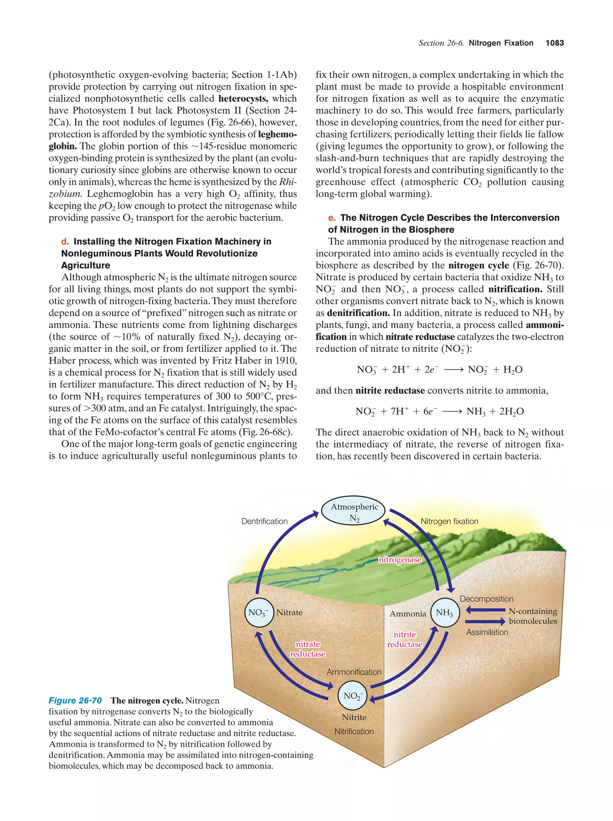 Biochemistry.4th.edition