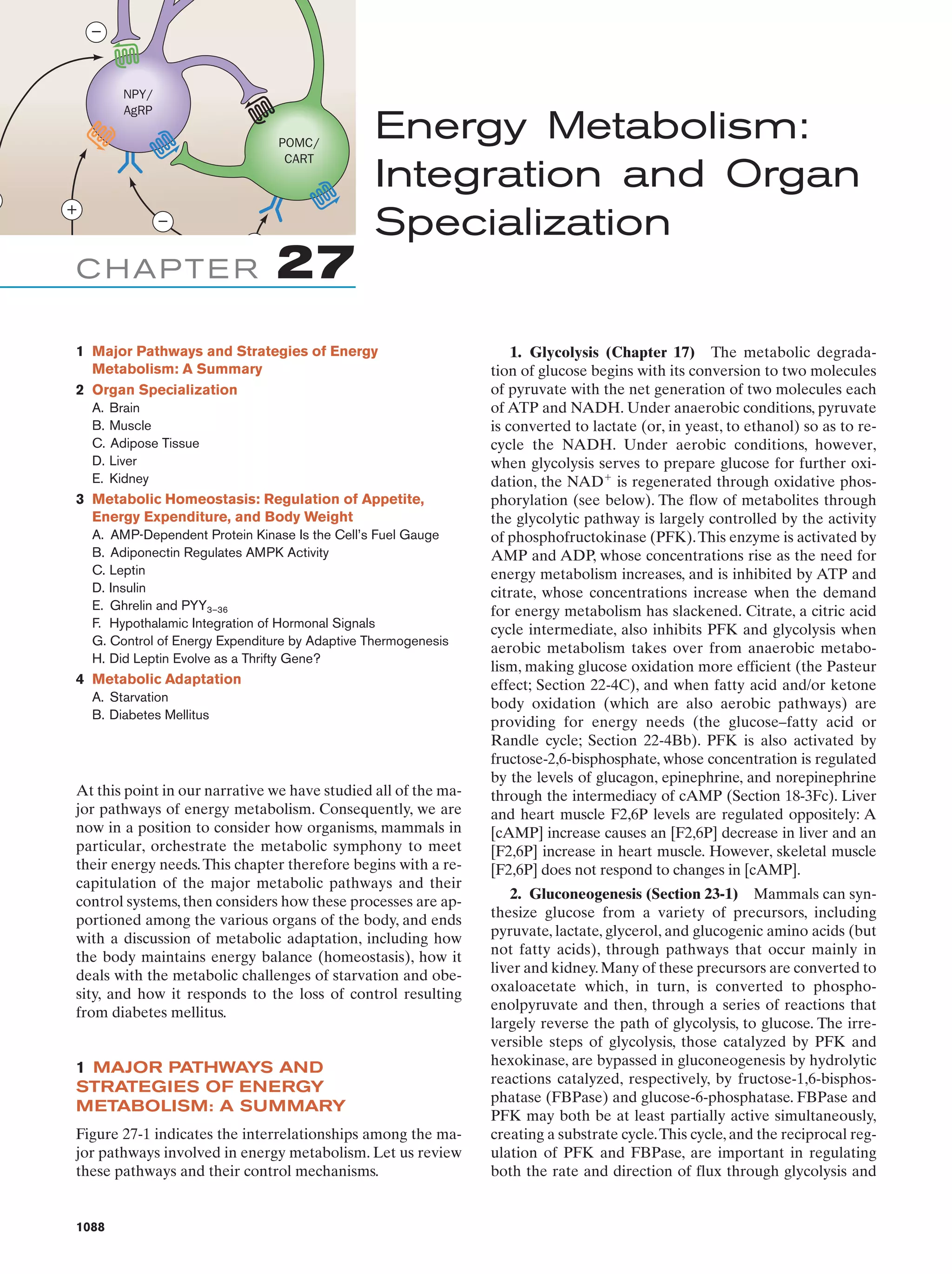 Biochemistry.4th.edition
