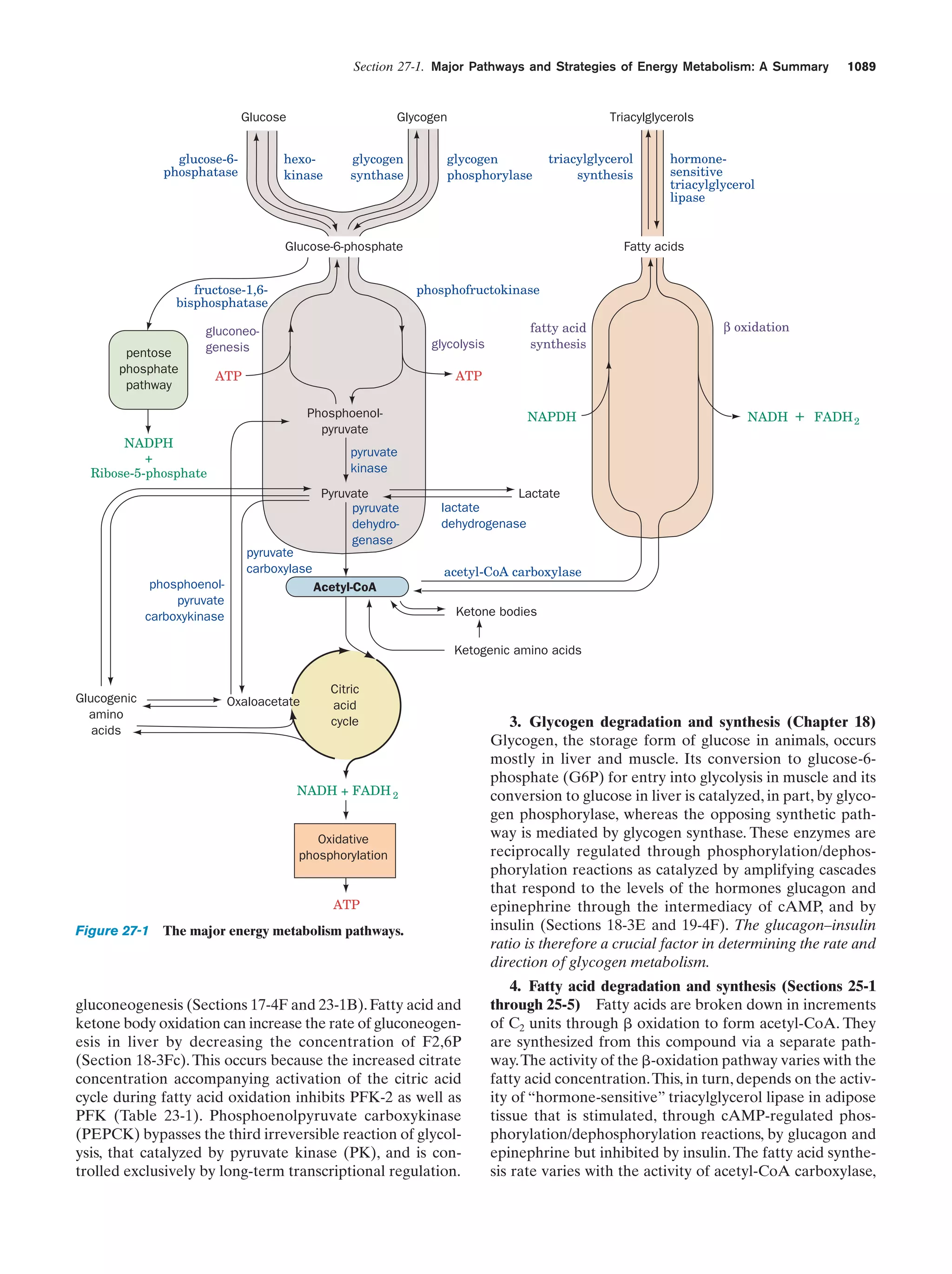 Biochemistry.4th.edition