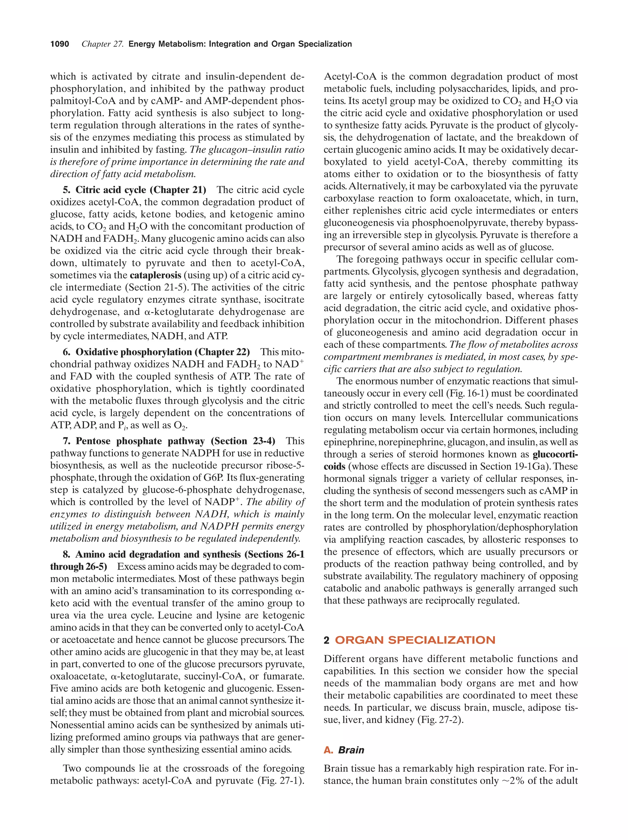 Biochemistry.4th.edition
