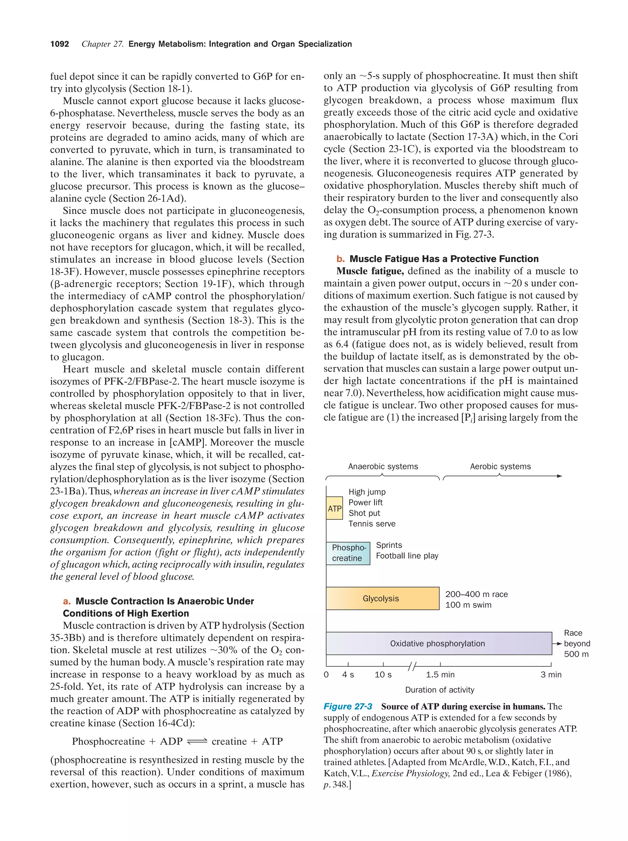 Biochemistry.4th.edition