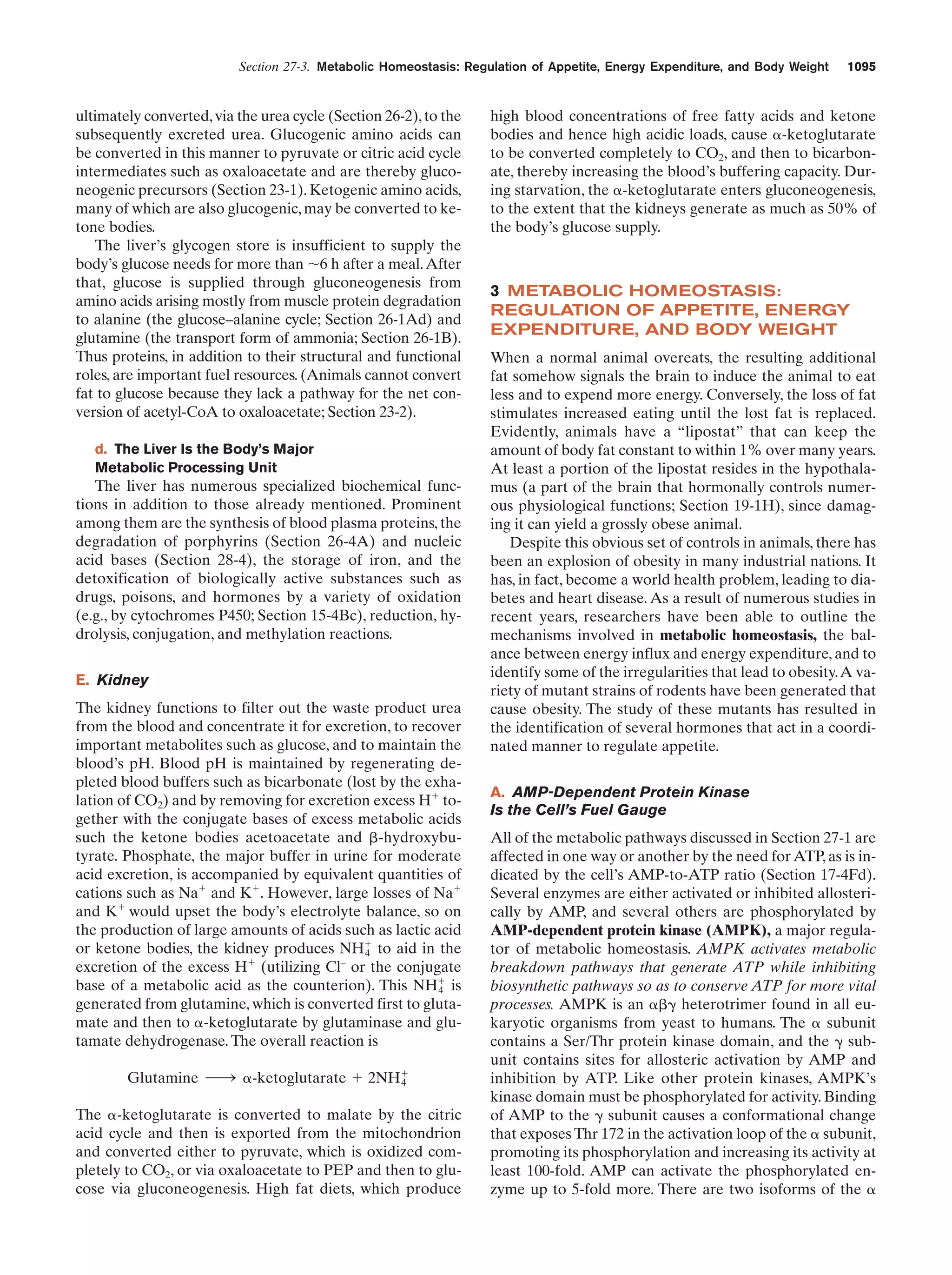 Biochemistry.4th.edition