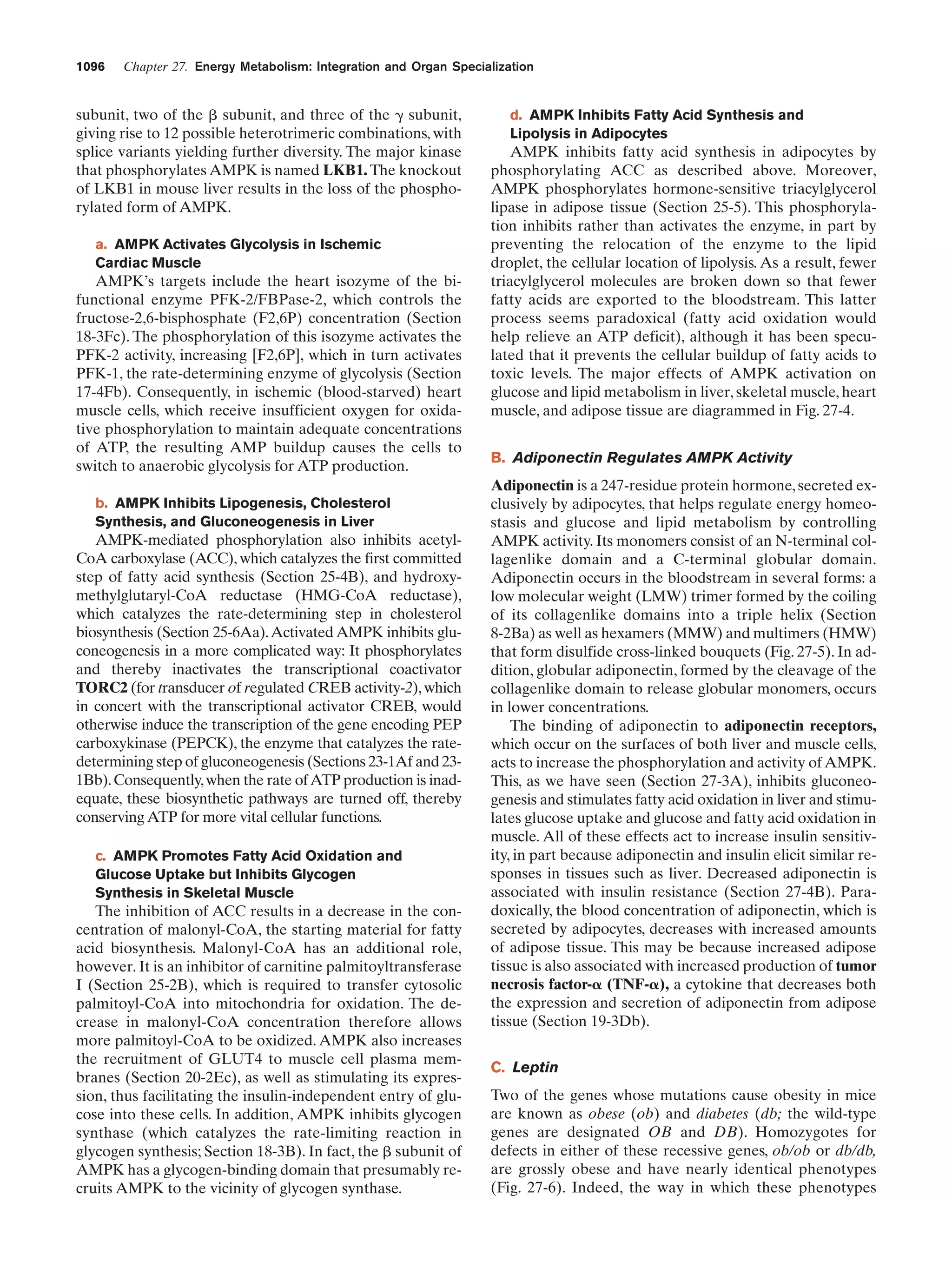 Biochemistry.4th.edition