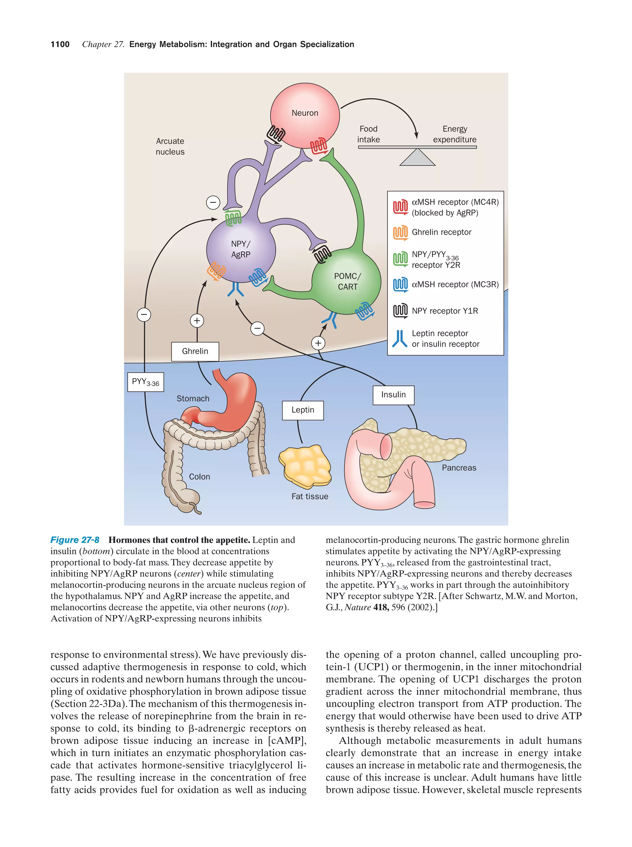 Biochemistry.4th.edition