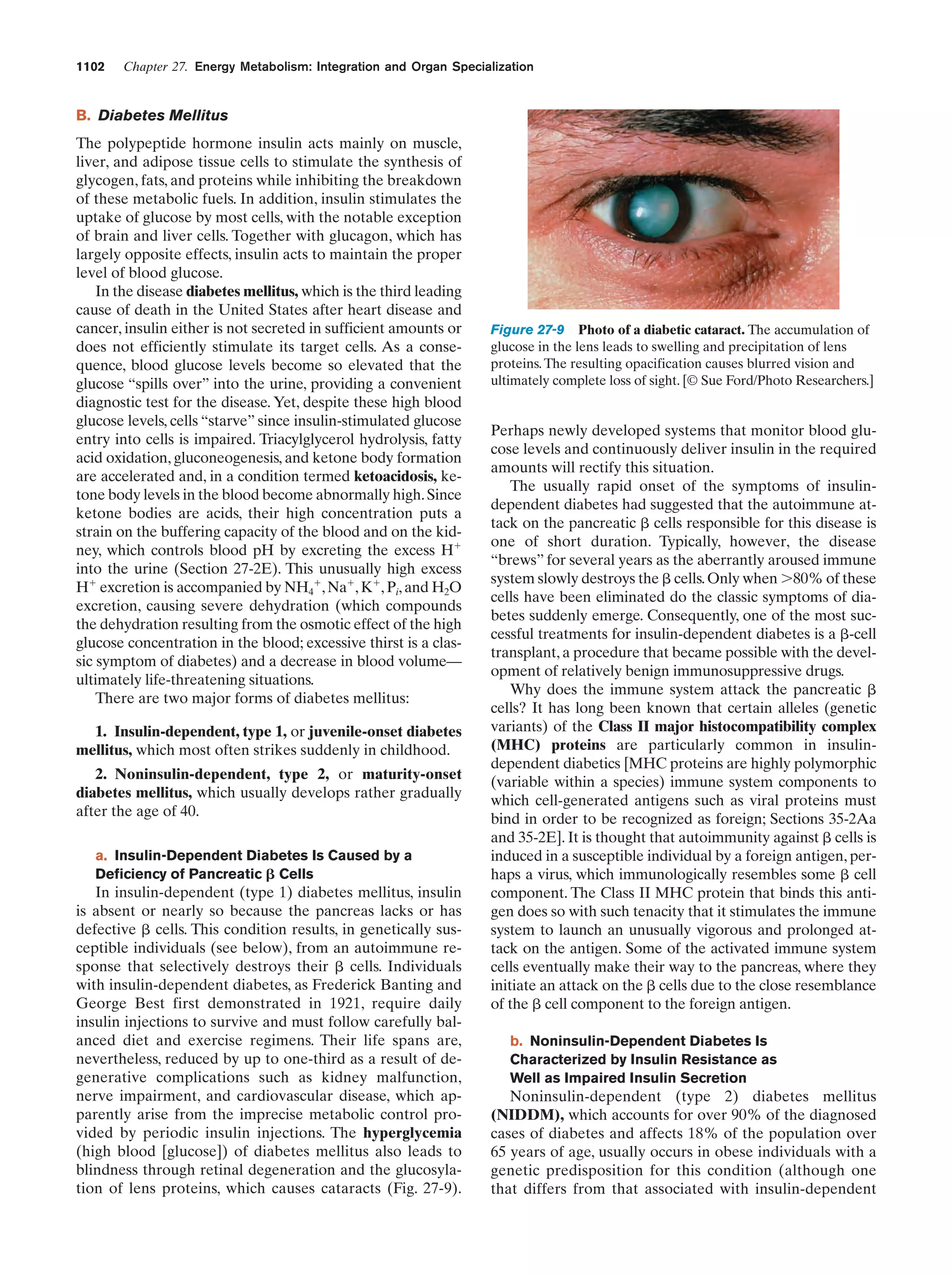 Biochemistry.4th.edition