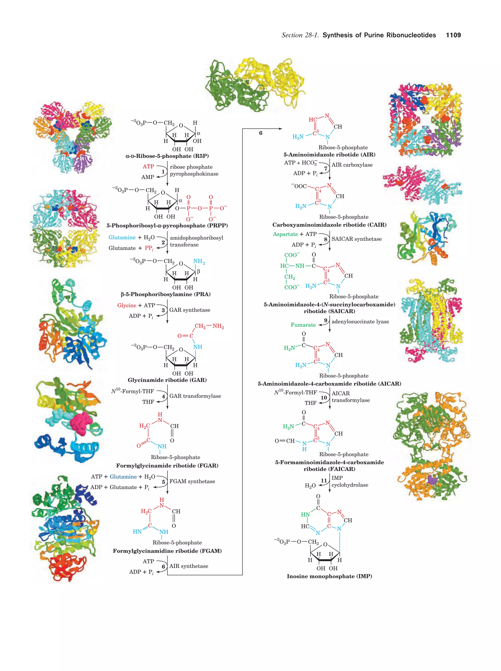 Biochemistry.4th.edition