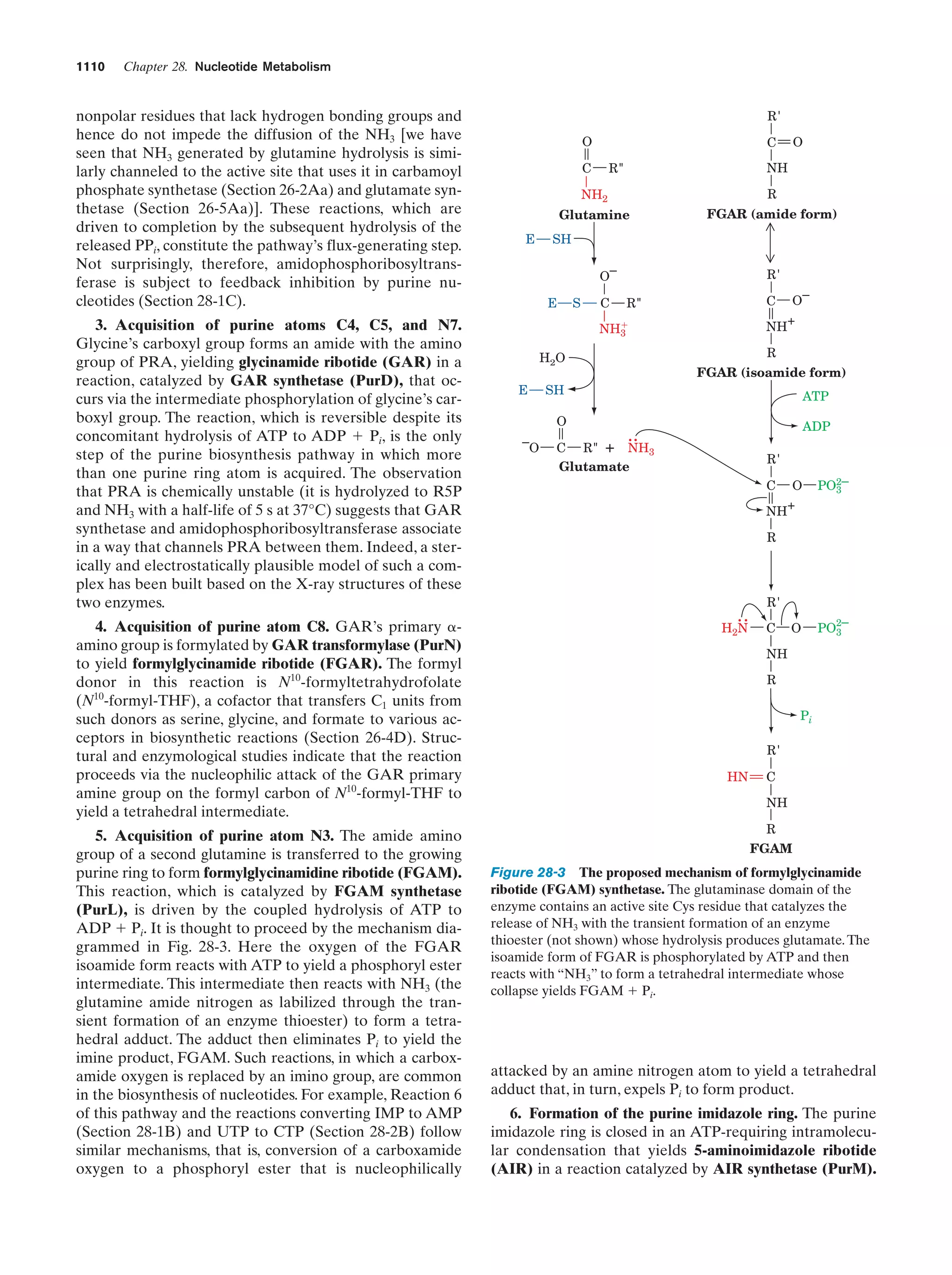 Biochemistry.4th.edition