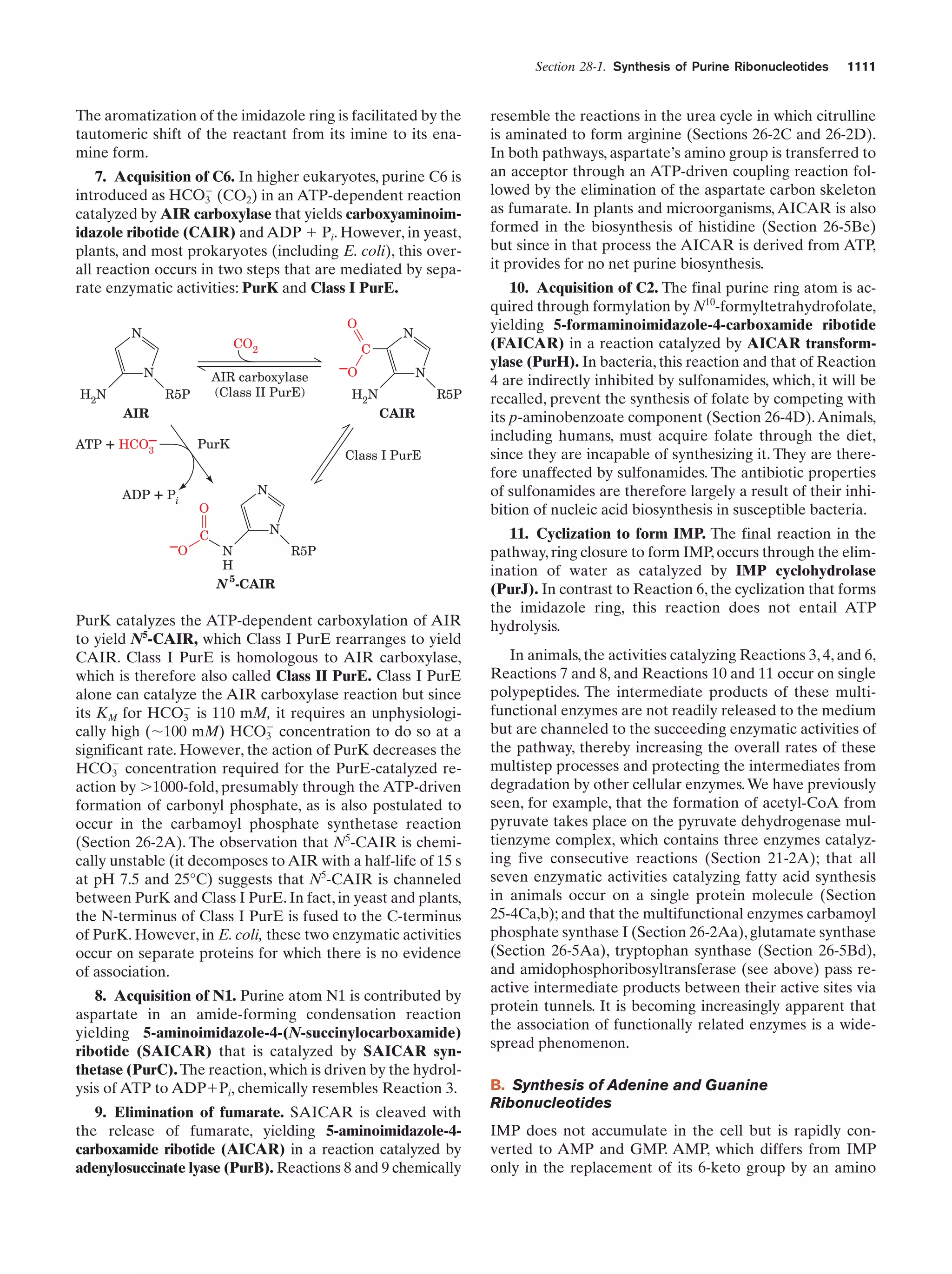 Biochemistry.4th.edition