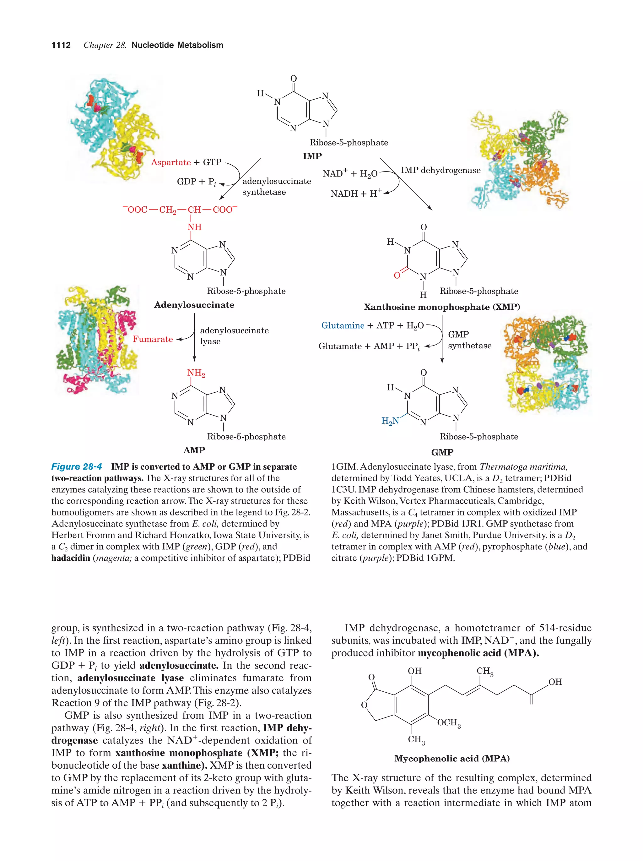 Biochemistry.4th.edition