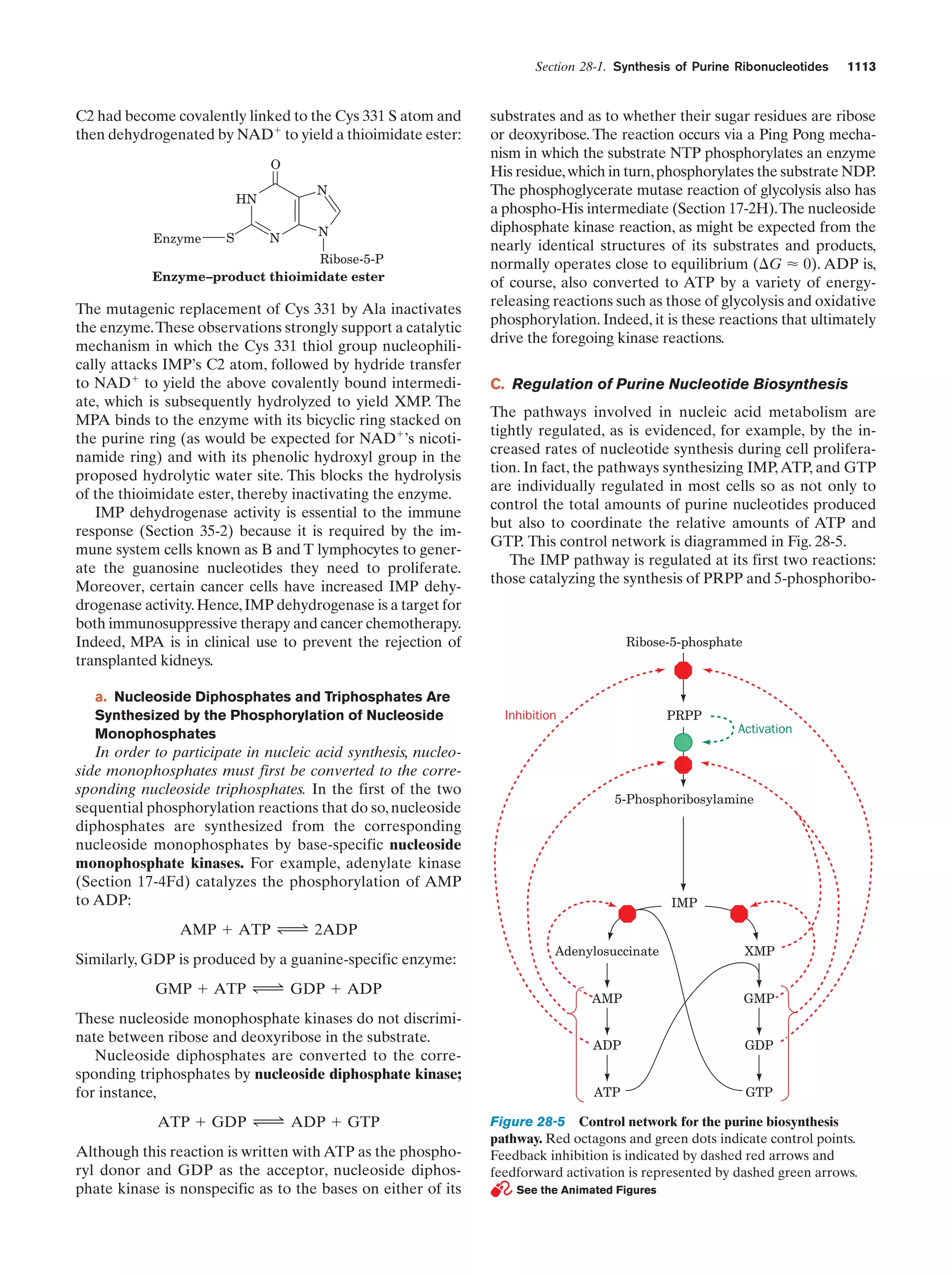 Biochemistry.4th.edition