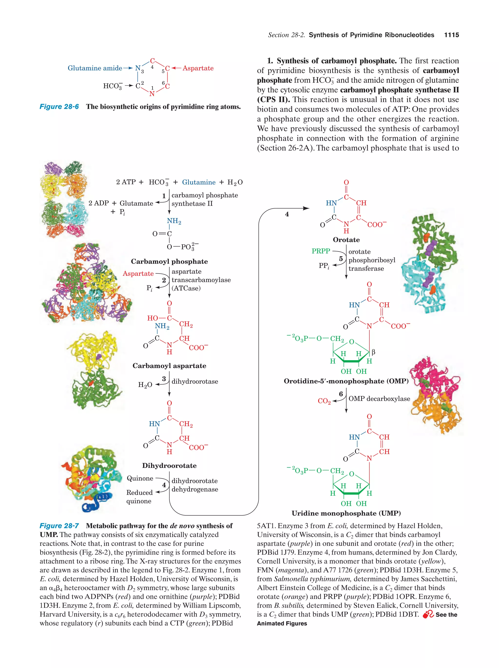 Biochemistry.4th.edition
