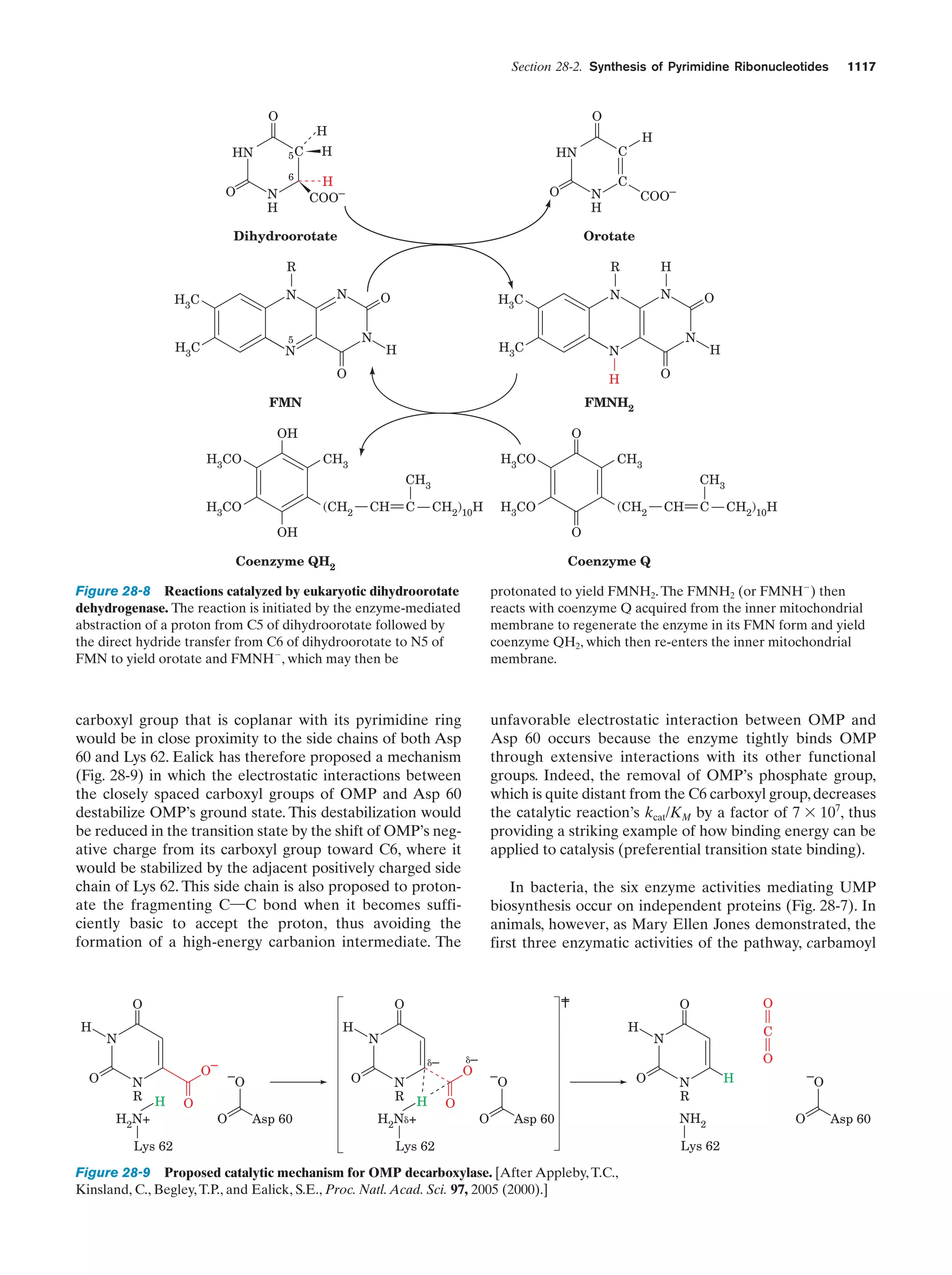 Biochemistry.4th.edition