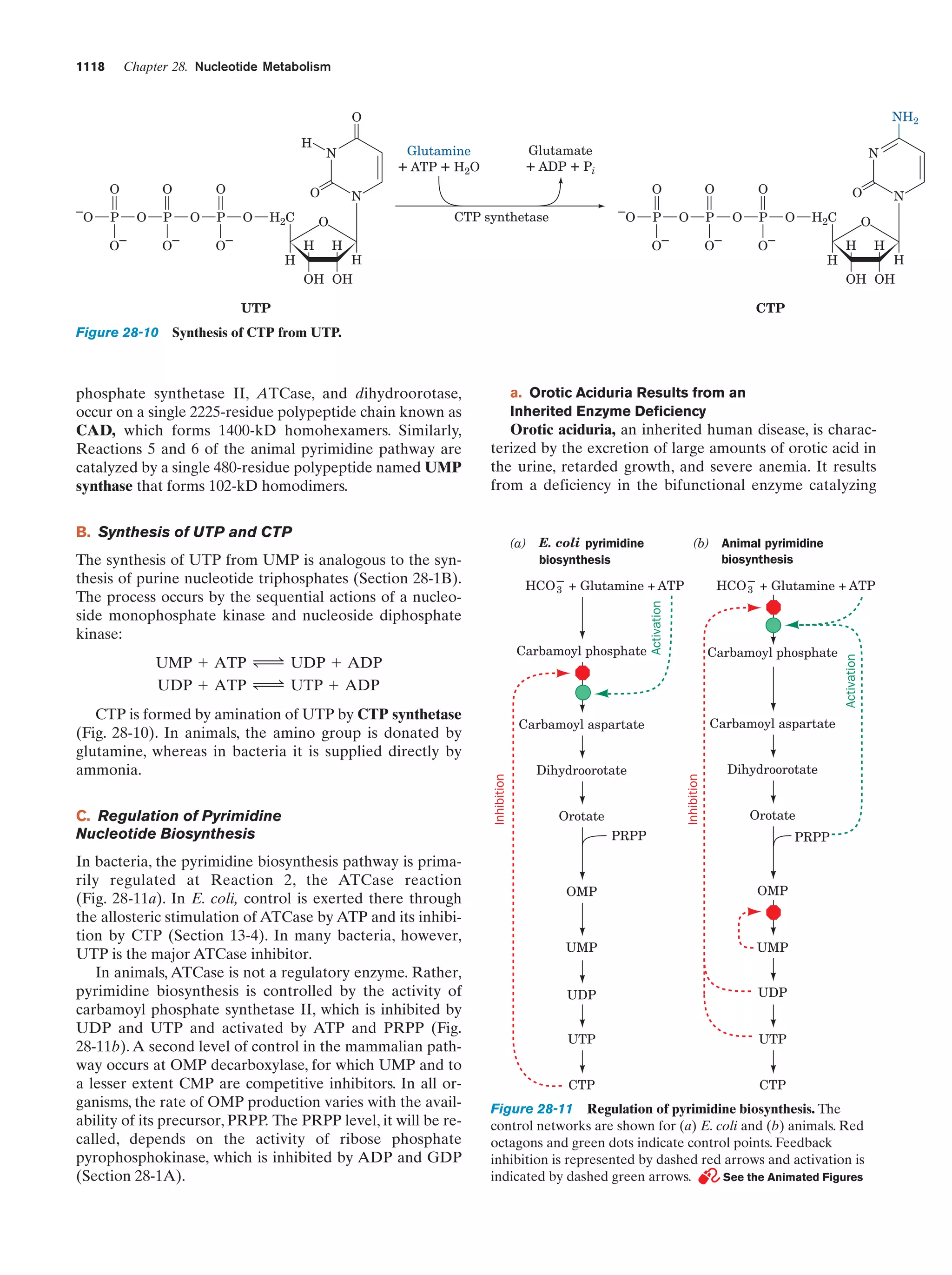 Biochemistry.4th.edition