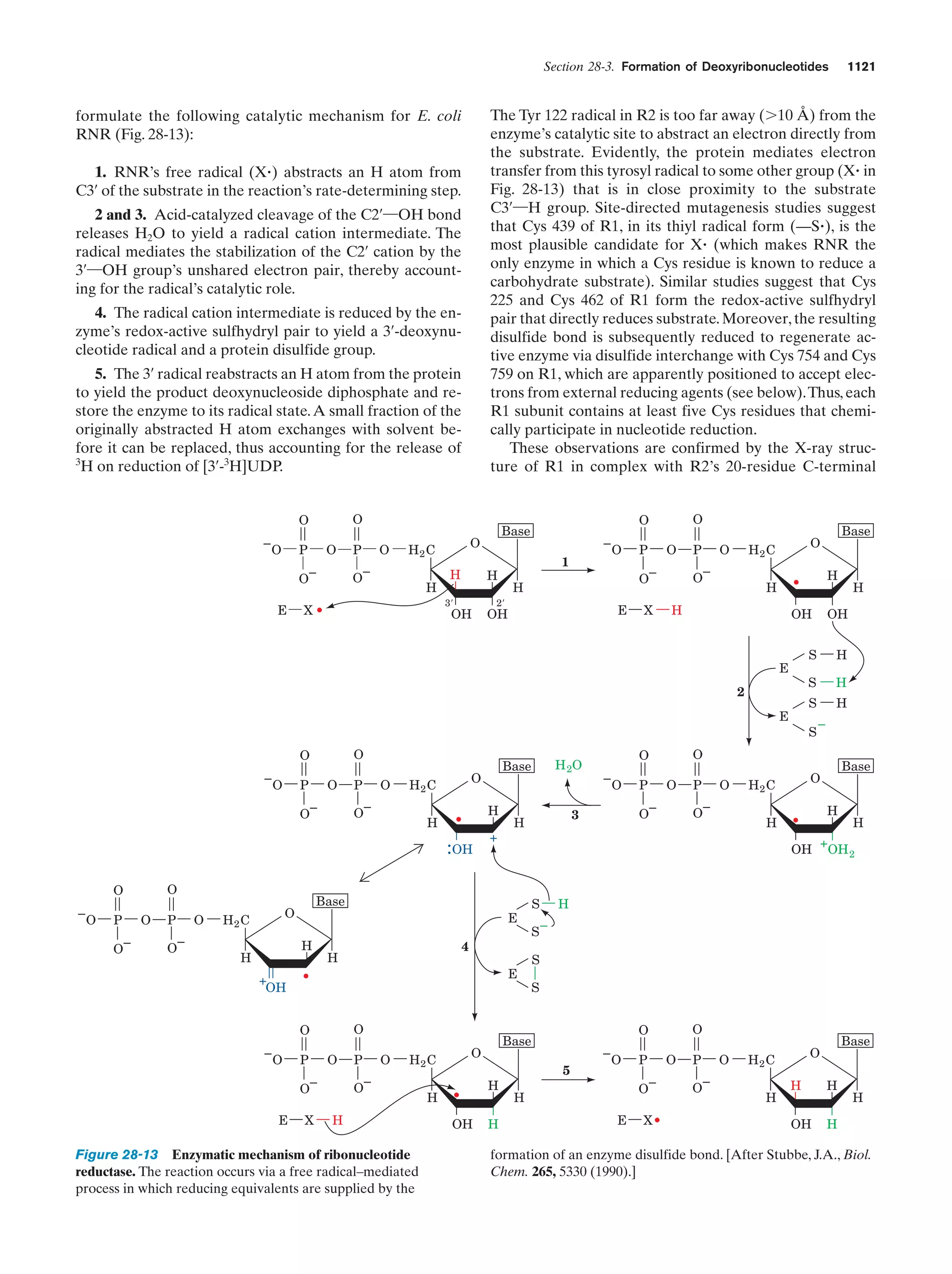 Biochemistry.4th.edition