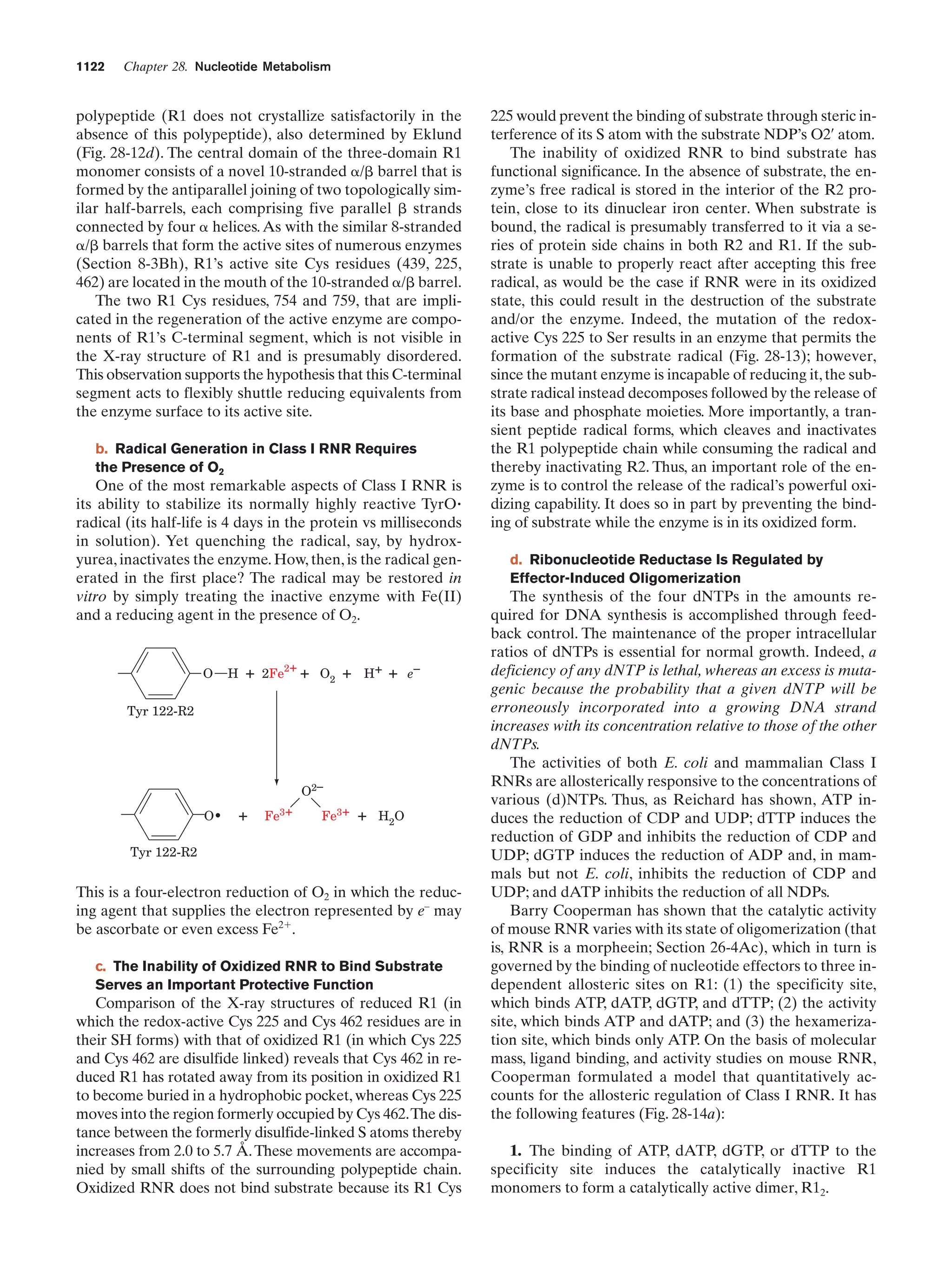 Biochemistry.4th.edition