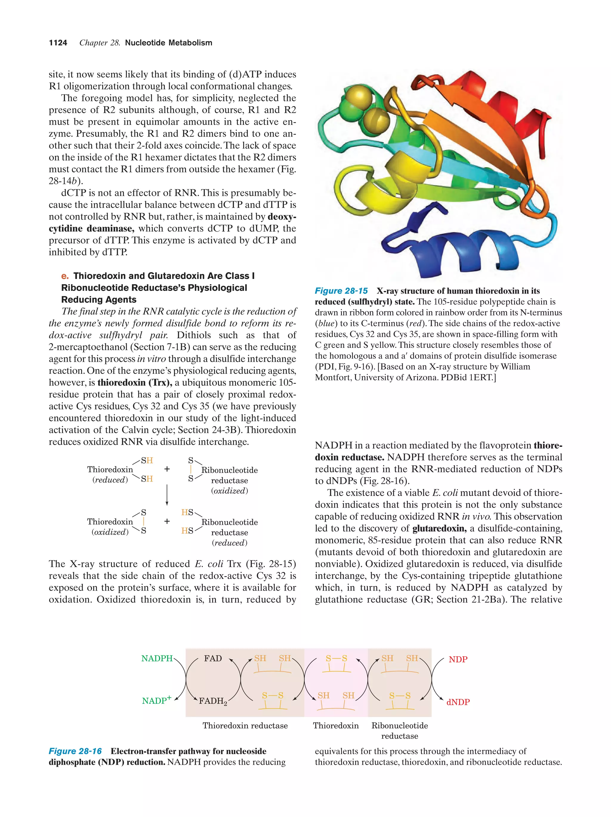 Biochemistry.4th.edition