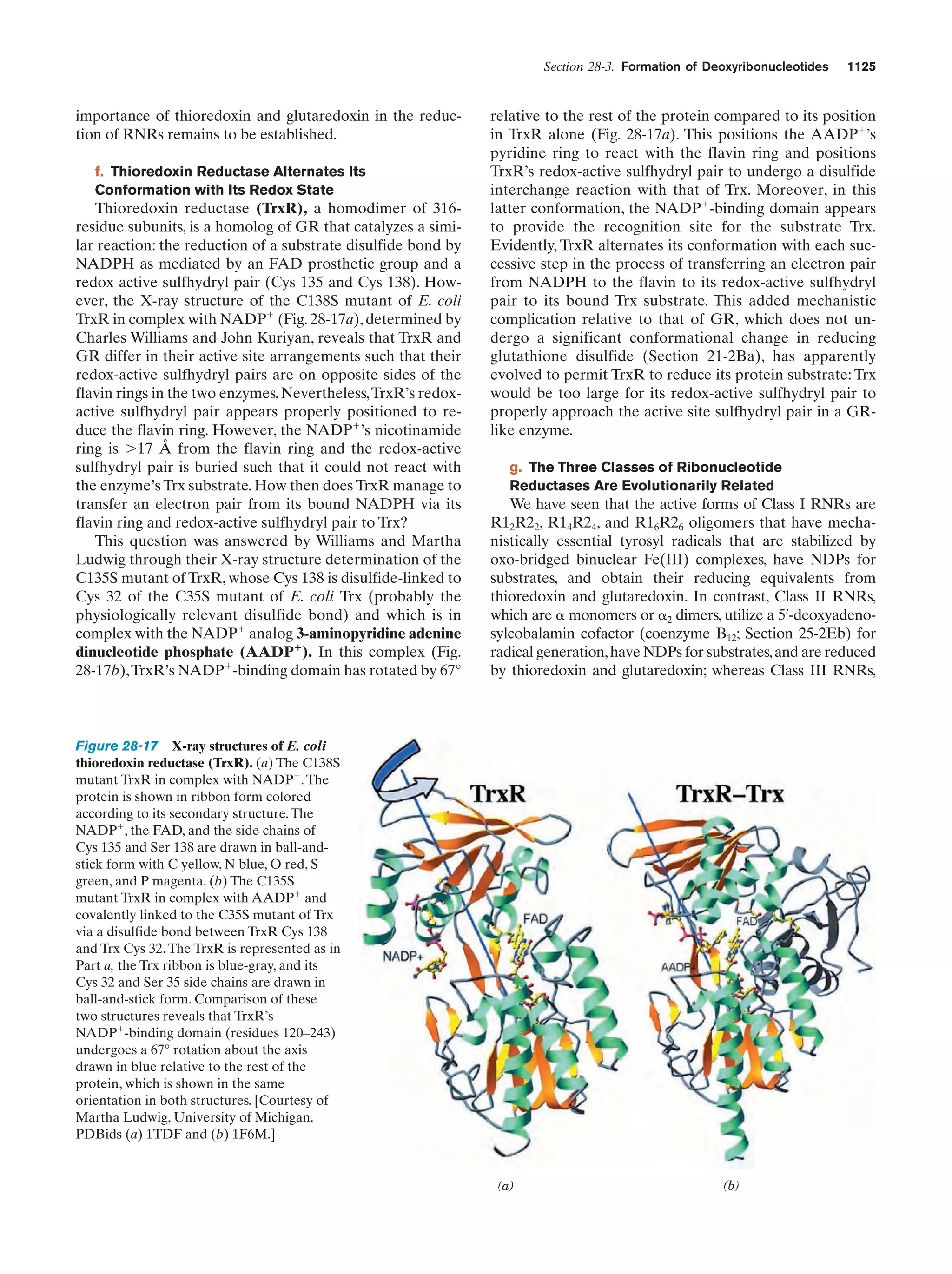 Biochemistry.4th.edition