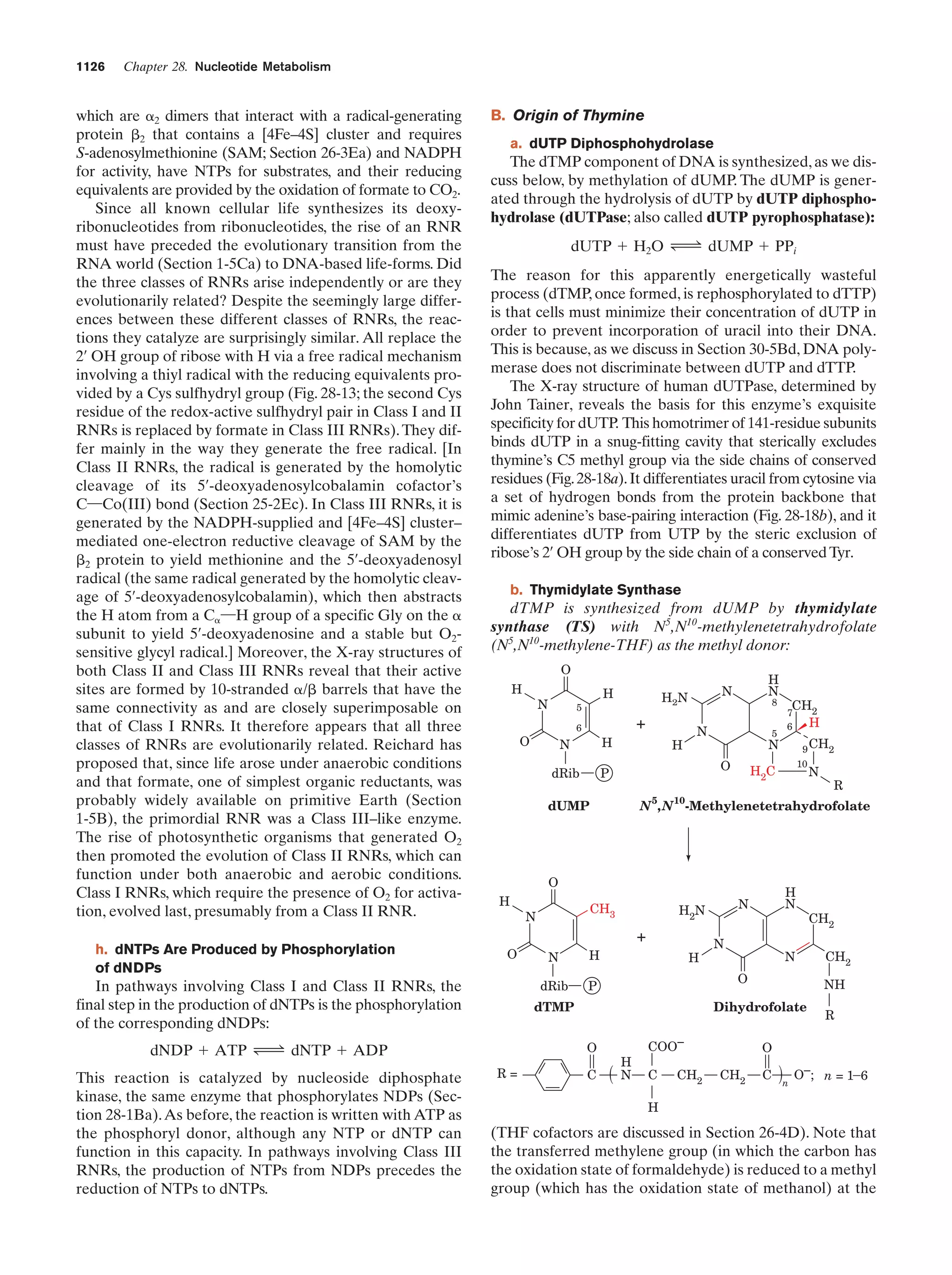 Biochemistry.4th.edition