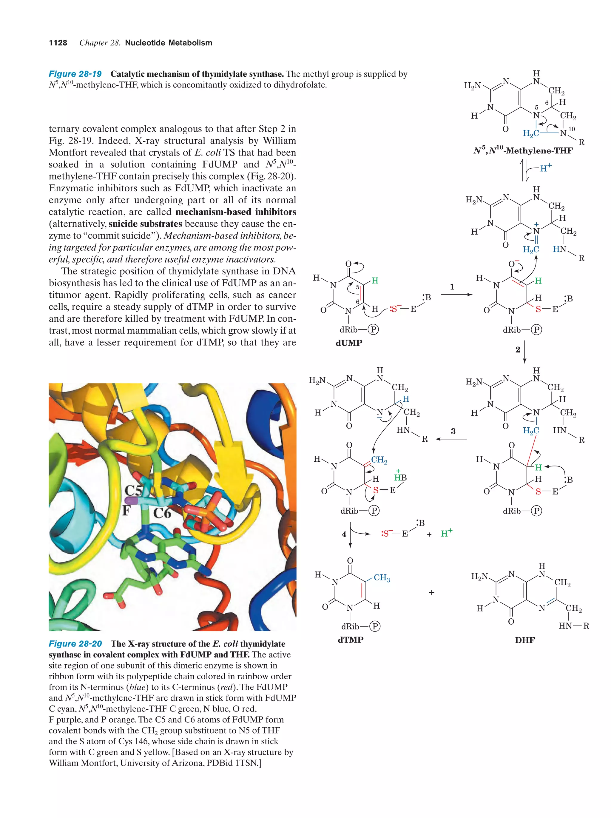 Biochemistry.4th.edition