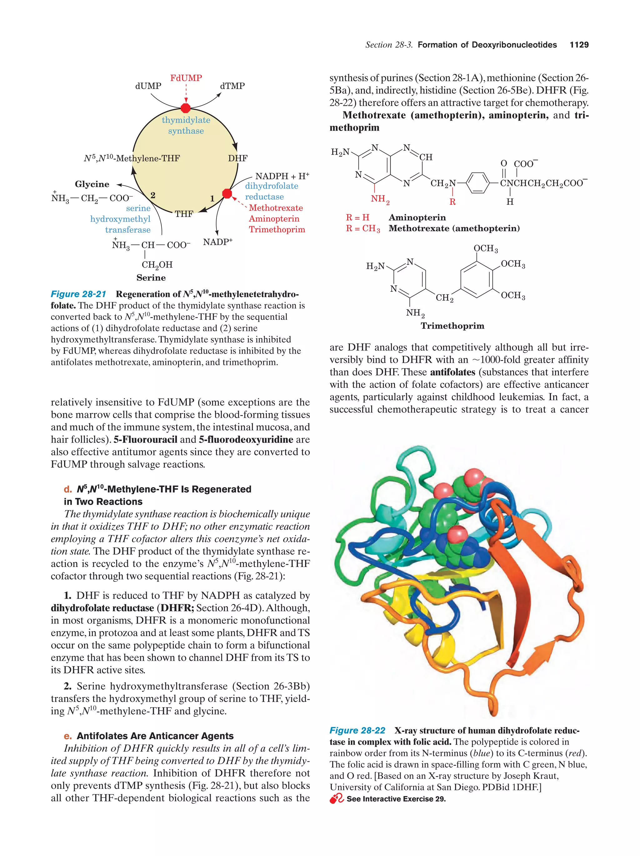 Biochemistry.4th.edition