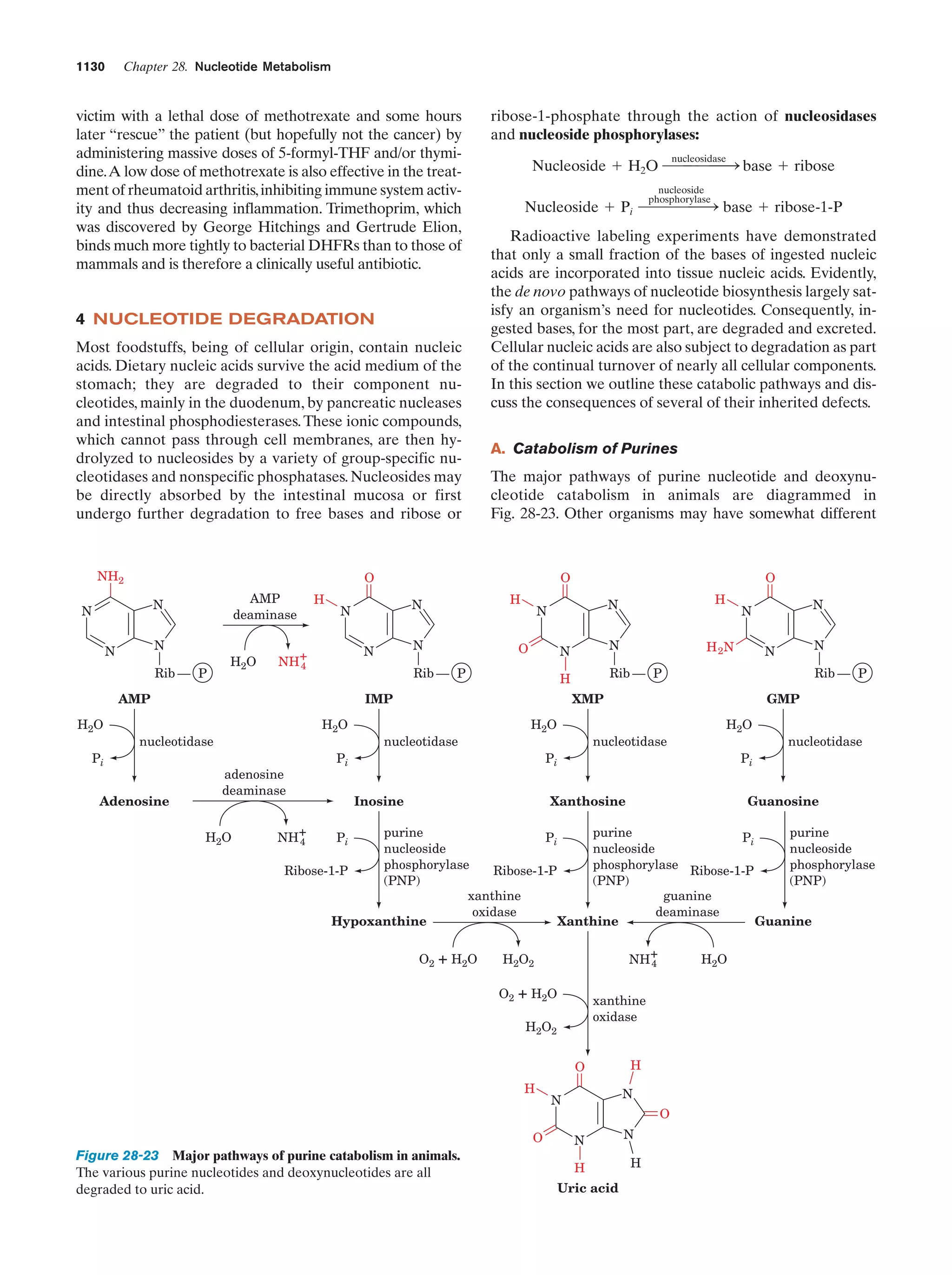 Biochemistry.4th.edition