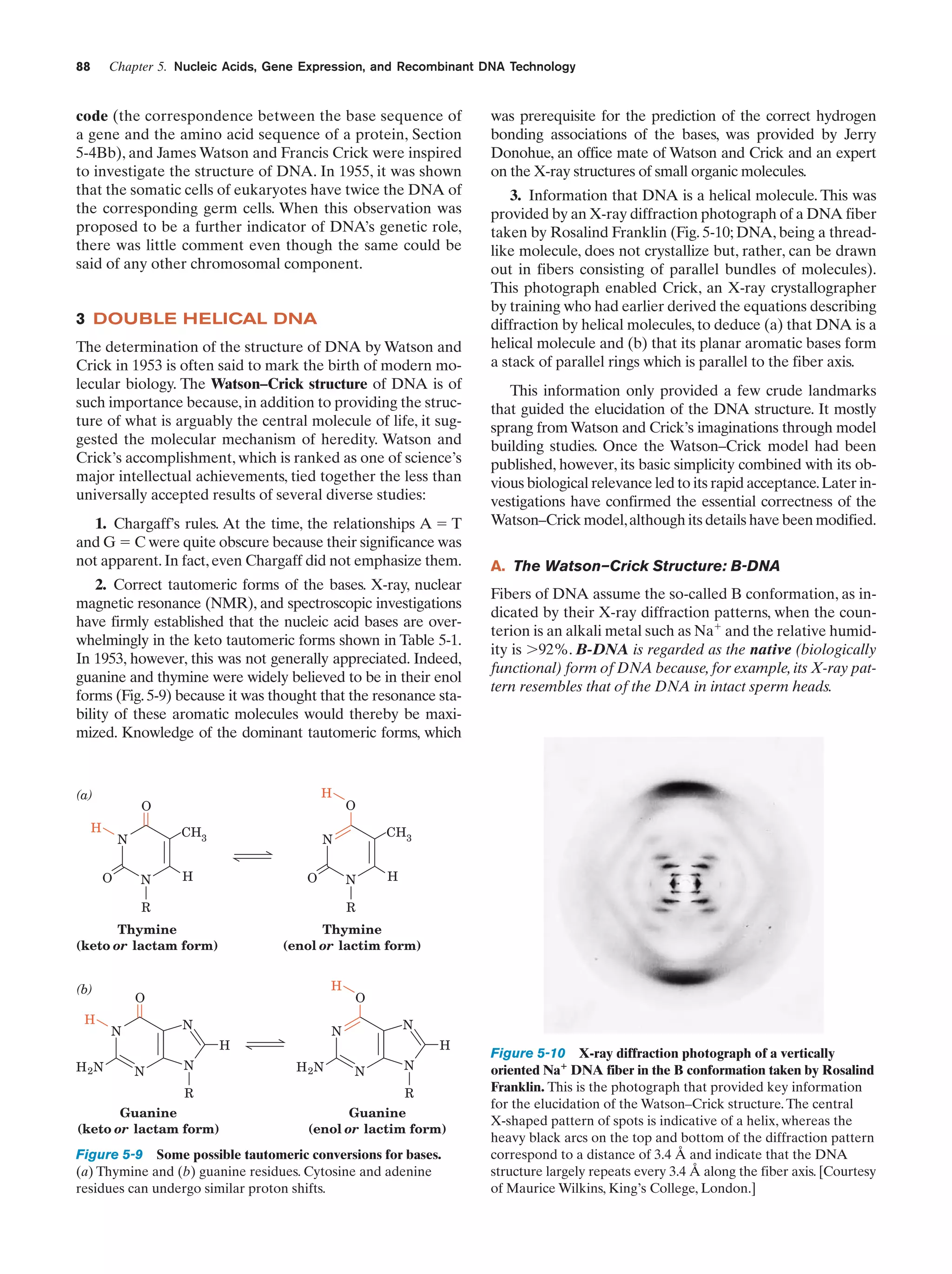 Chapter 5. Nucleic Acids, Gene Expression, and Recombinant DNA Technology

88

code (the correspondence between the base sequence of
a gene and the amino acid sequence of a protein, Section
5-4Bb), and James Watson and Francis Crick were inspired
to investigate the structure of DNA. In 1955, it was shown
that the somatic cells of eukaryotes have twice the DNA of
the corresponding germ cells. When this observation was
proposed to be a further indicator of DNA’s genetic role,
there was little comment even though the same could be
said of any other chromosomal component.

3 DOUBLE HELICAL DNA
The determination of the structure of DNA by Watson and
Crick in 1953 is often said to mark the birth of modern molecular biology. The Watson–Crick structure of DNA is of
such importance because, in addition to providing the structure of what is arguably the central molecule of life, it suggested the molecular mechanism of heredity. Watson and
Crick’s accomplishment, which is ranked as one of science’s
major intellectual achievements, tied together the less than
universally accepted results of several diverse studies:
1. Chargaff’s rules. At the time, the relationships A ϭ T
and G ϭ C were quite obscure because their significance was
not apparent. In fact, even Chargaff did not emphasize them.
2. Correct tautomeric forms of the bases. X-ray, nuclear
magnetic resonance (NMR), and spectroscopic investigations
have firmly established that the nucleic acid bases are overwhelmingly in the keto tautomeric forms shown in Table 5-1.
In 1953, however, this was not generally appreciated. Indeed,
guanine and thymine were widely believed to be in their enol
forms (Fig. 5-9) because it was thought that the resonance stability of these aromatic molecules would thereby be maximized. Knowledge of the dominant tautomeric forms, which

(a)

H

O

H

CH3

N
O

N

O

3. Information that DNA is a helical molecule. This was
provided by an X-ray diffraction photograph of a DNA fiber
taken by Rosalind Franklin (Fig. 5-10; DNA, being a threadlike molecule, does not crystallize but, rather, can be drawn
out in fibers consisting of parallel bundles of molecules).
This photograph enabled Crick, an X-ray crystallographer
by training who had earlier derived the equations describing
diffraction by helical molecules, to deduce (a) that DNA is a
helical molecule and (b) that its planar aromatic bases form
a stack of parallel rings which is parallel to the fiber axis.
This information only provided a few crude landmarks
that guided the elucidation of the DNA structure. It mostly
sprang from Watson and Crick’s imaginations through model
building studies. Once the Watson–Crick model had been
published, however, its basic simplicity combined with its obvious biological relevance led to its rapid acceptance. Later investigations have confirmed the essential correctness of the
Watson–Crick model, although its details have been modified.
A. The Watson–Crick Structure: B-DNA
Fibers of DNA assume the so-called B conformation, as indicated by their X-ray diffraction patterns, when the counterion is an alkali metal such as Naϩ and the relative humidity is Ͼ92%. B-DNA is regarded as the native (biologically
functional) form of DNA because, for example, its X-ray pattern resembles that of the DNA in intact sperm heads.

O
CH3

N

H

was prerequisite for the prediction of the correct hydrogen
bonding associations of the bases, was provided by Jerry
Donohue, an office mate of Watson and Crick and an expert
on the X-ray structures of small organic molecules.

N

H

R

R

Thymine
(keto or lactam form)

Thymine
(enol or lactim form)

(b)

H

H 2N

H

O
N

N
N

R

Guanine
(keto or lactam form)

N

N

H

N

O

H 2N

H

N

N
R

Guanine
(enol or lactim form)

Figure 5-9 Some possible tautomeric conversions for bases.
(a) Thymine and (b) guanine residues. Cytosine and adenine
residues can undergo similar proton shifts.

Figure 5-10 X-ray diffraction photograph of a vertically
oriented Na؉ DNA fiber in the B conformation taken by Rosalind
Franklin. This is the photograph that provided key information
for the elucidation of the Watson–Crick structure. The central
X-shaped pattern of spots is indicative of a helix, whereas the
heavy black arcs on the top and bottom of the diffraction pattern
correspond to a distance of 3.4 Å and indicate that the DNA
structure largely repeats every 3.4 Å along the fiber axis. [Courtesy
of Maurice Wilkins, King’s College, London.]

 