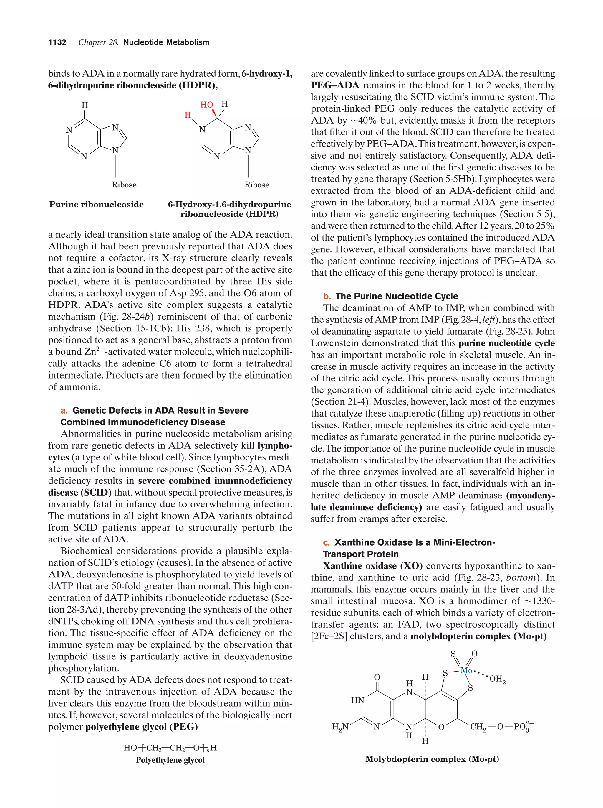 Biochemistry.4th.edition