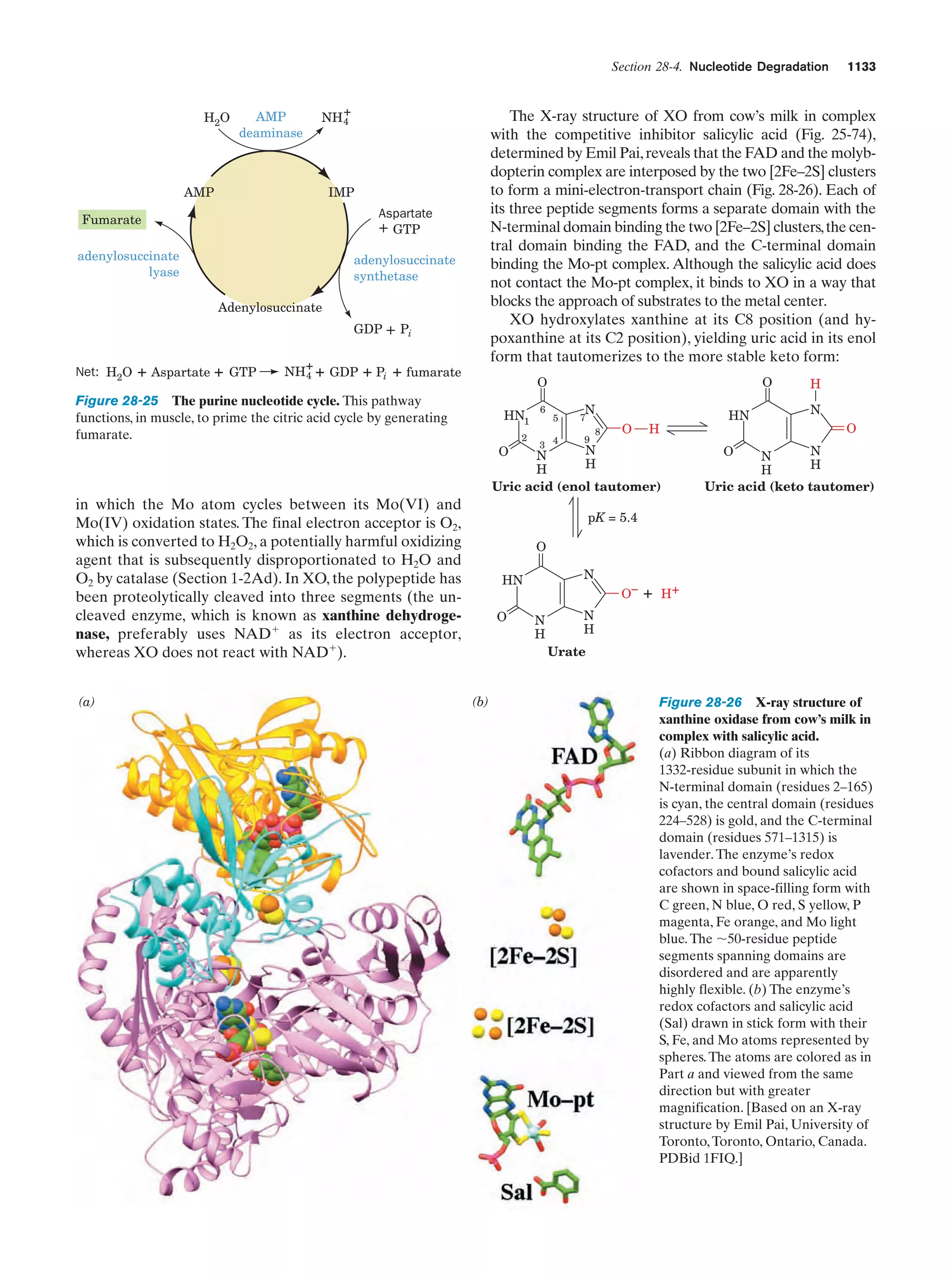 Biochemistry.4th.edition