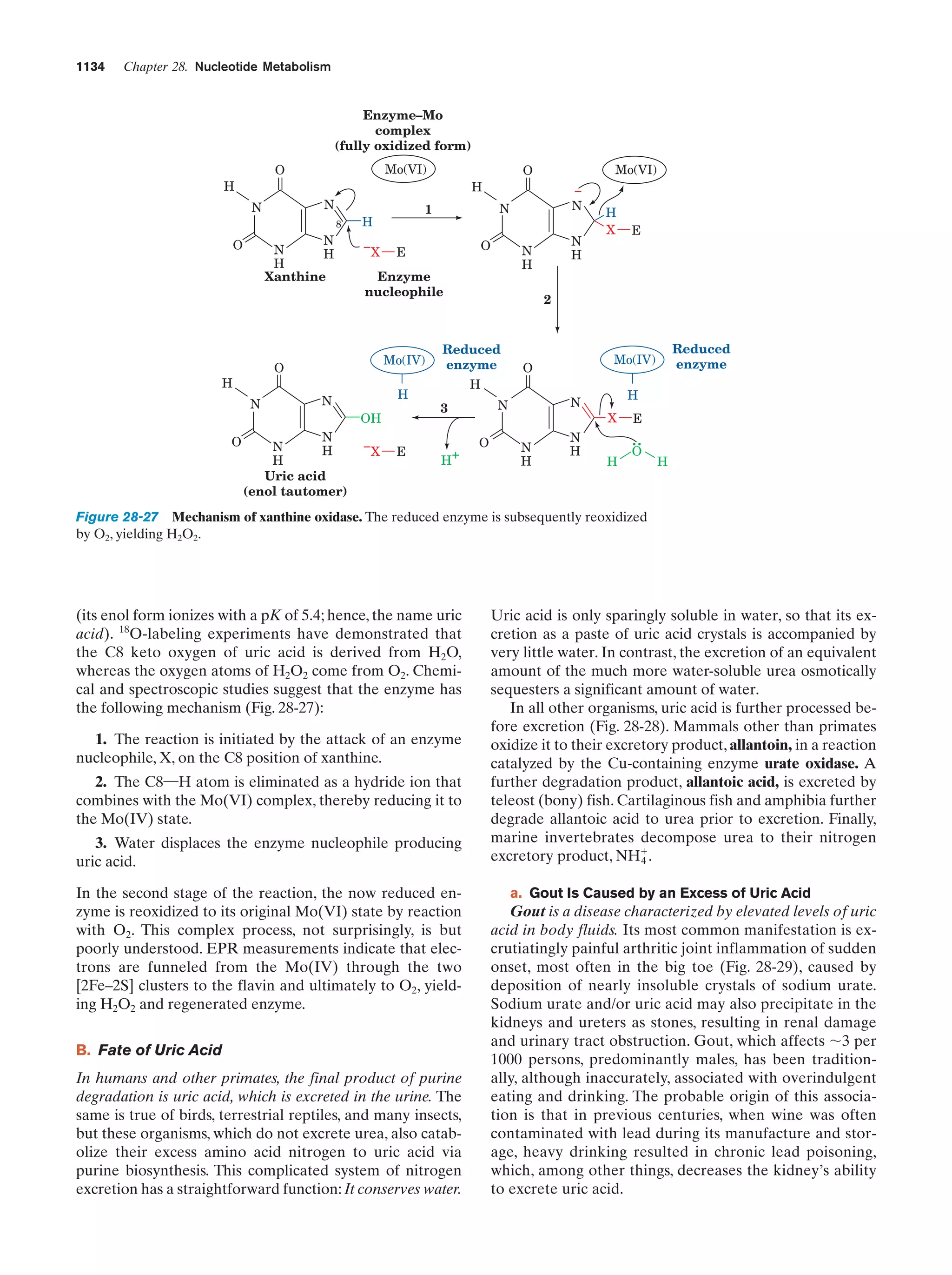 Biochemistry.4th.edition