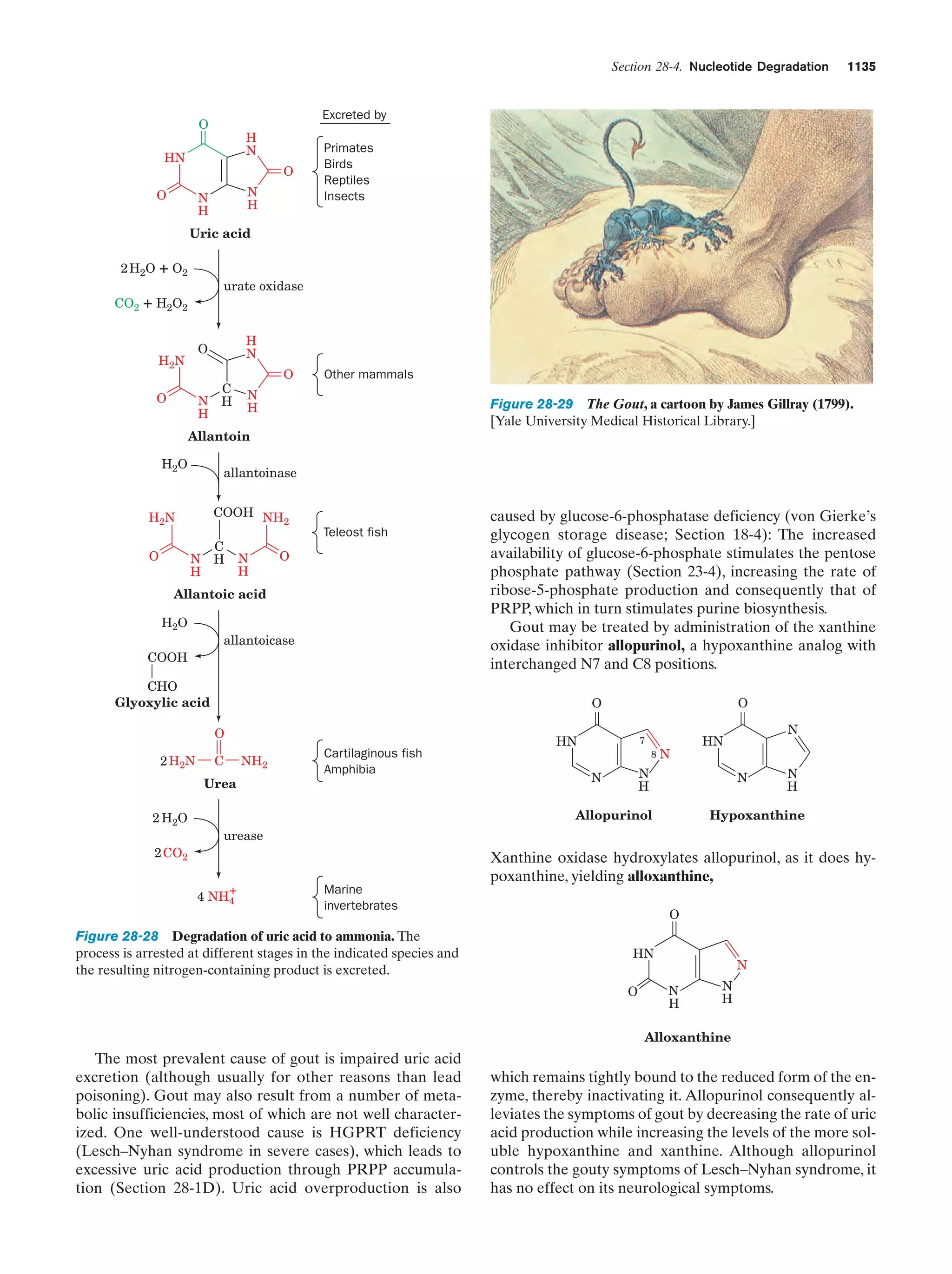 Biochemistry.4th.edition
