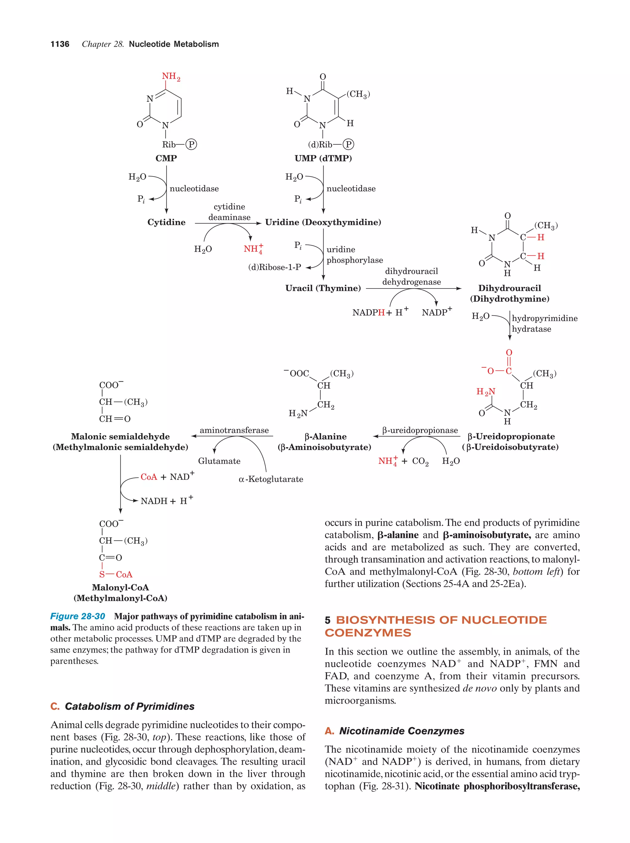 Biochemistry.4th.edition