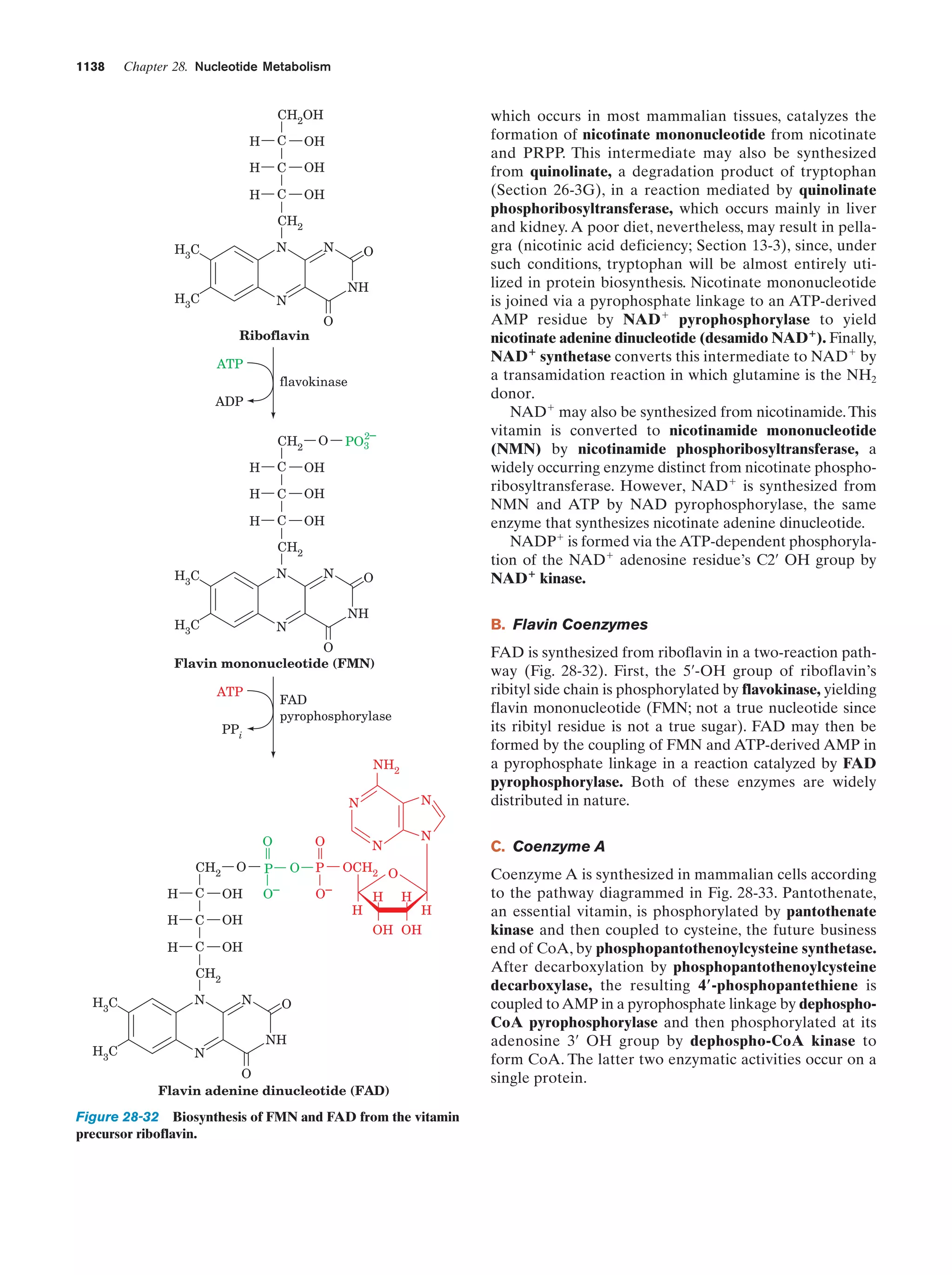 Biochemistry.4th.edition