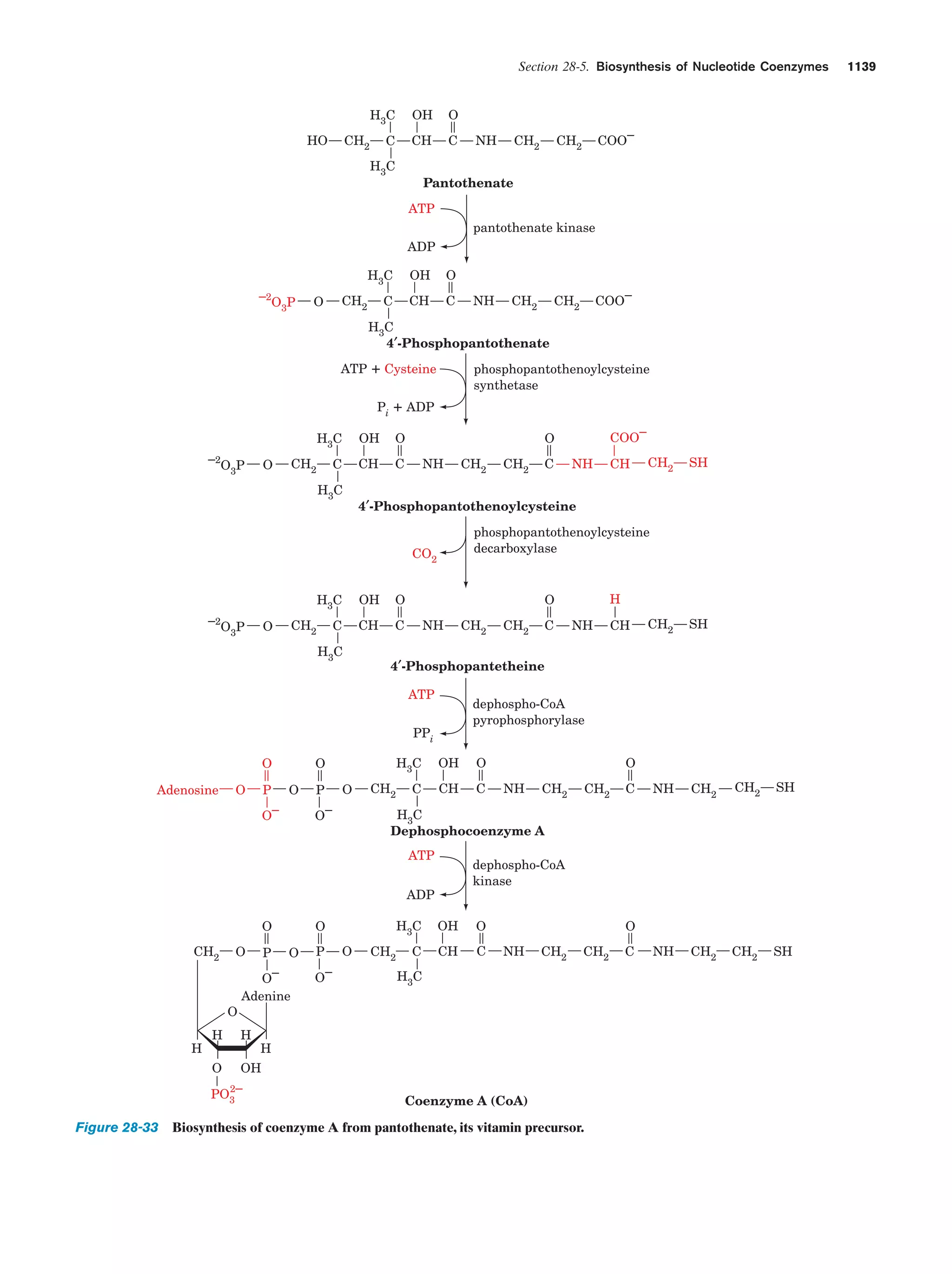 Biochemistry.4th.edition