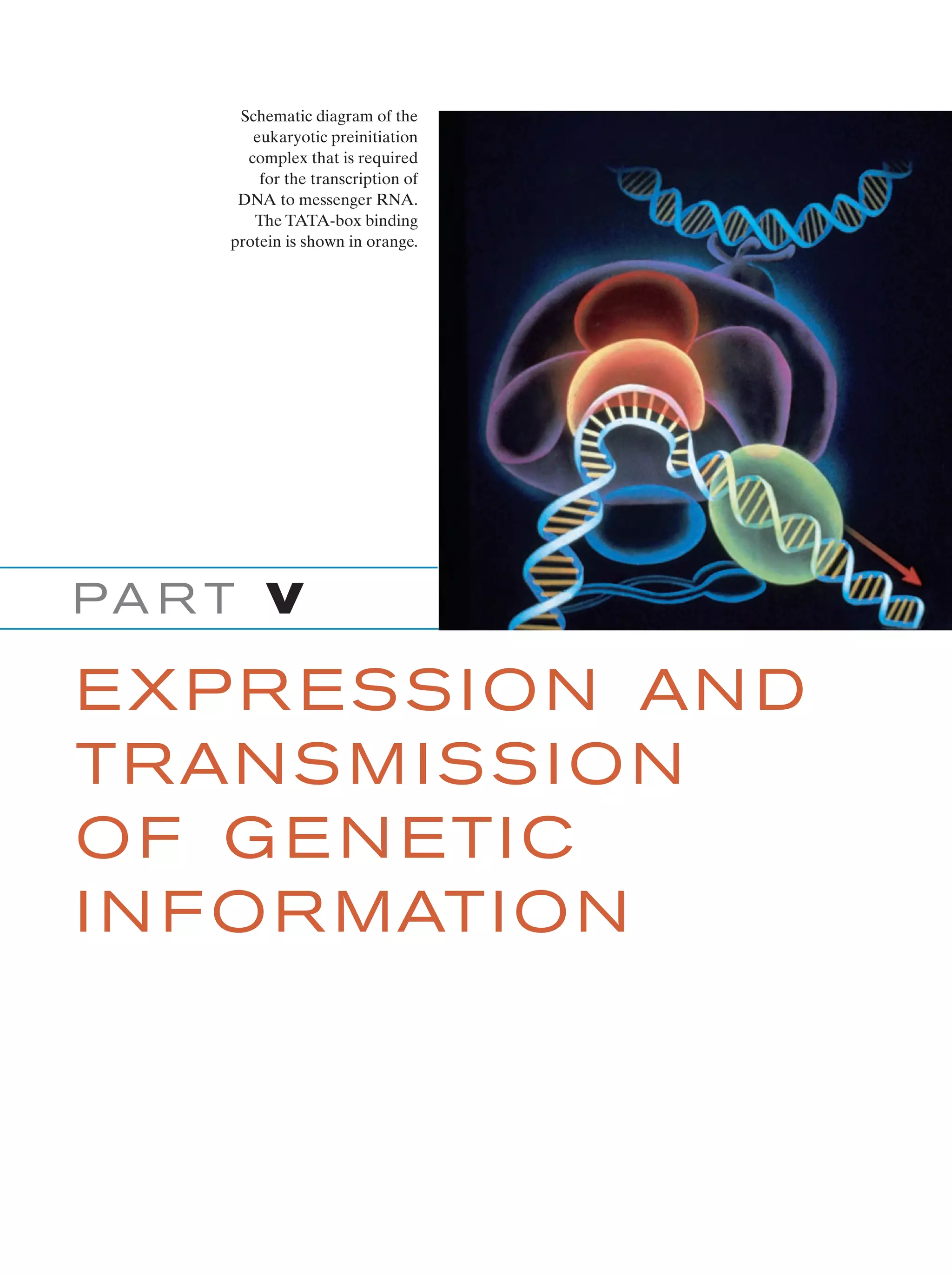 Biochemistry.4th.edition