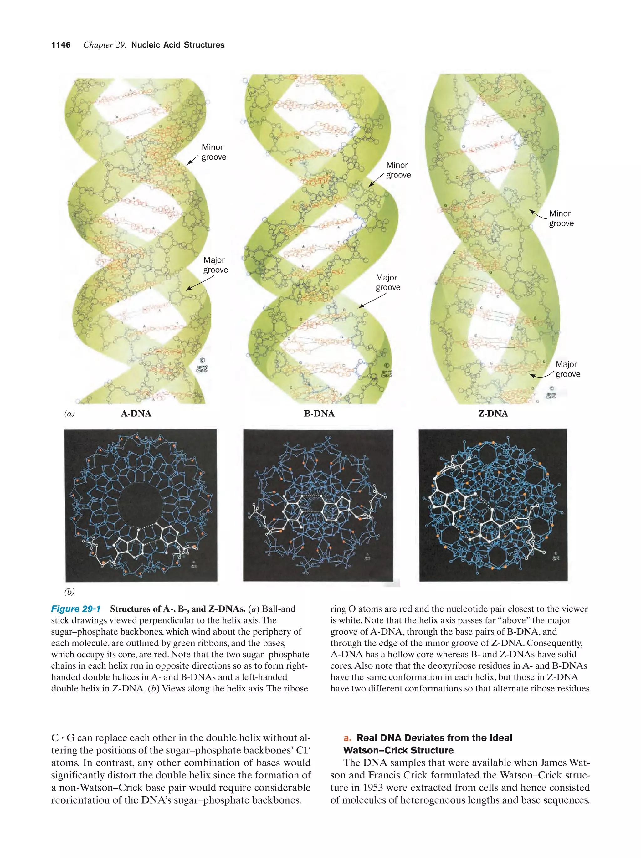 Biochemistry.4th.edition